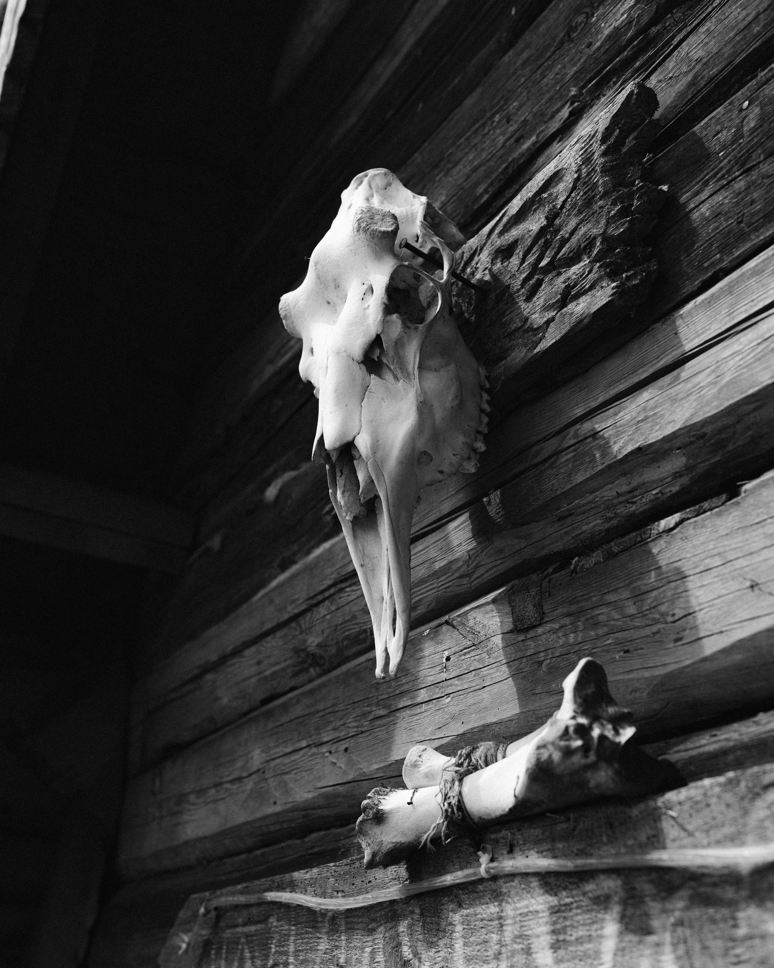 Беларусь. Твой фотограф в Москве и Московской области Романцова Ирина