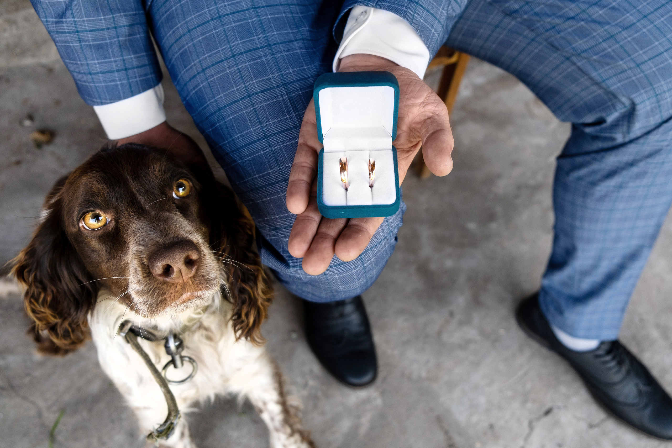 Общее портфолио. Профессиональный фотограф Барнаул Анастасия Фримал