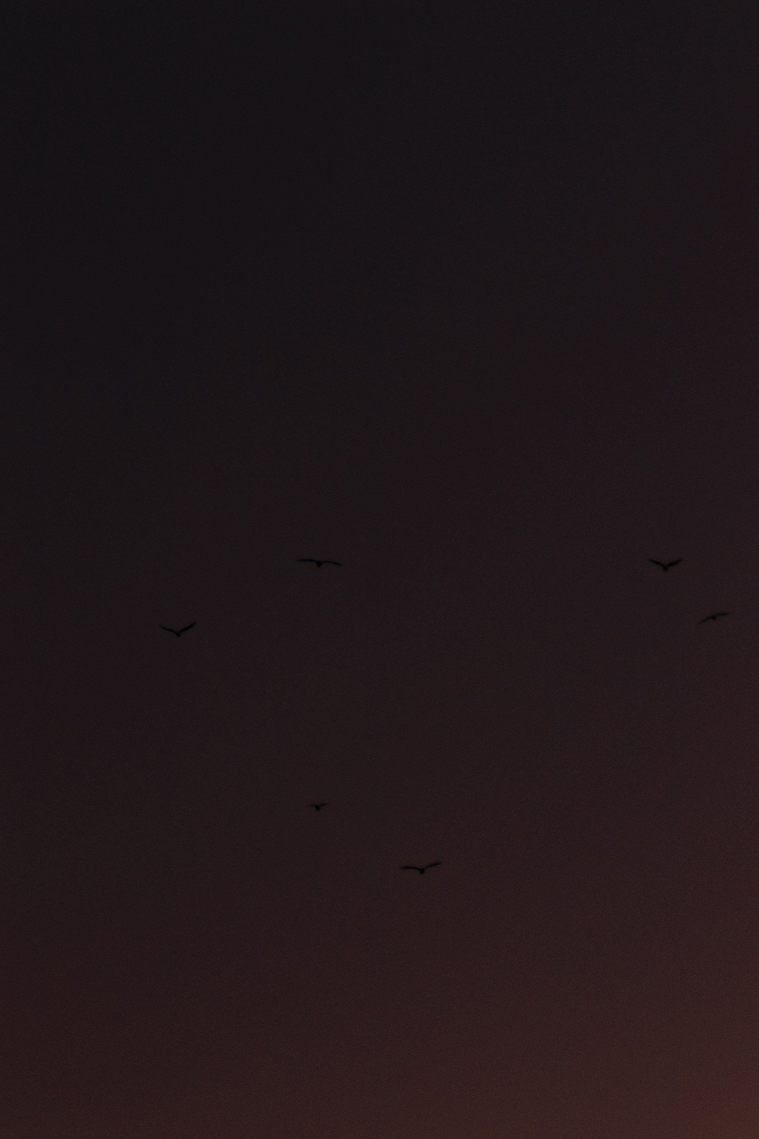 М И Н И М А Л И З М. — Digital Noise —