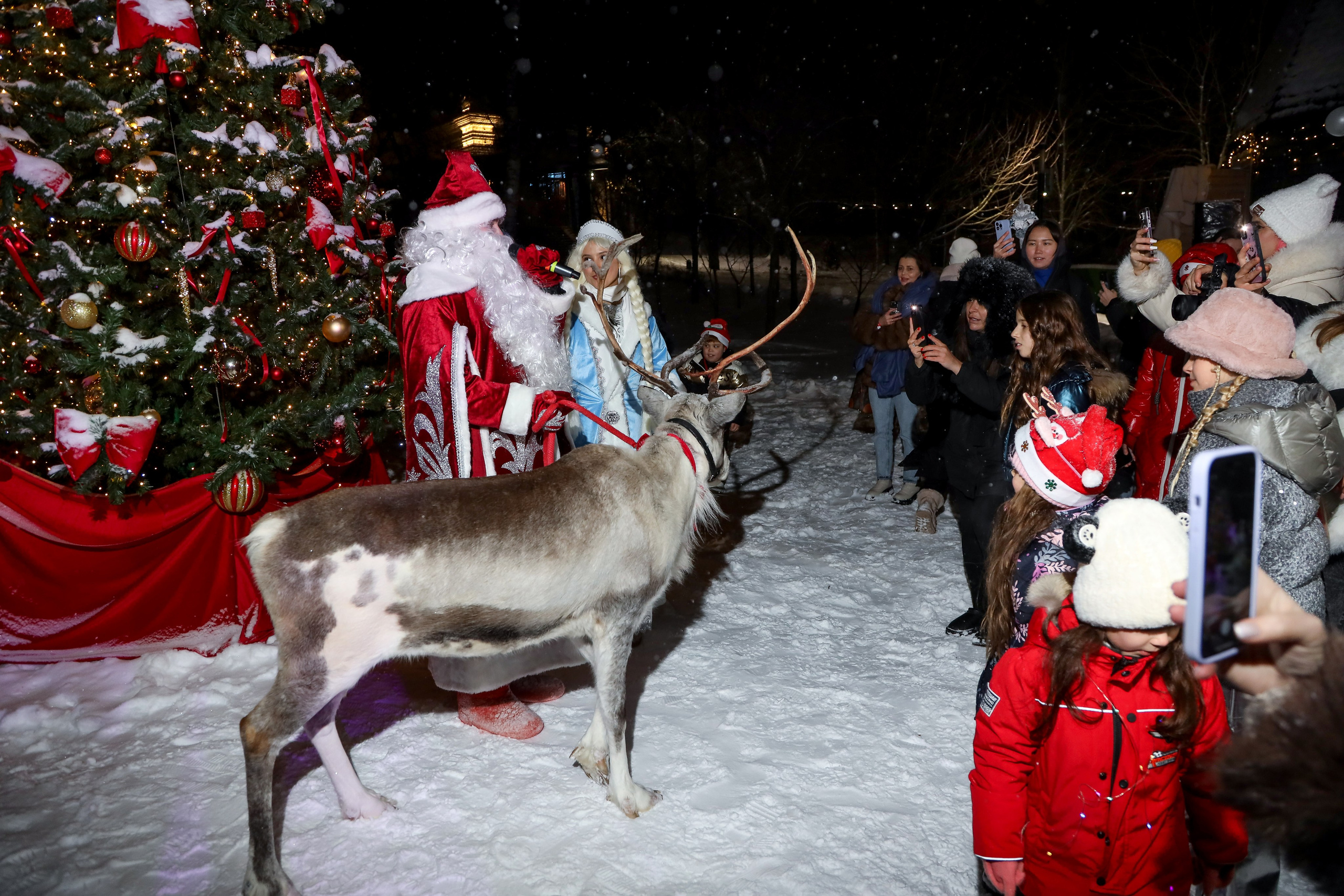 СТС Kids. Фотограф Антон Чупринин