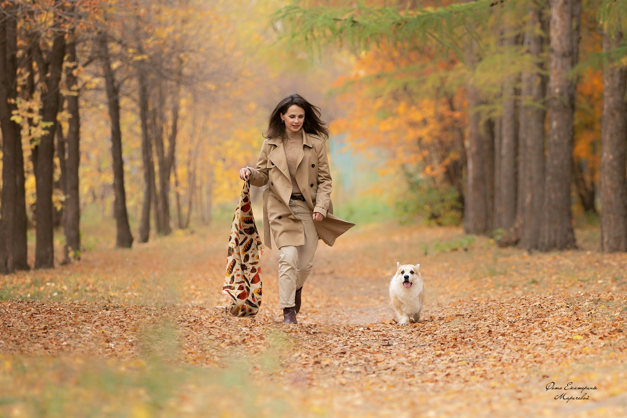 Выездная съёмка с естественным светом. Фотограф-анималист в Омске Екатерина Маричева