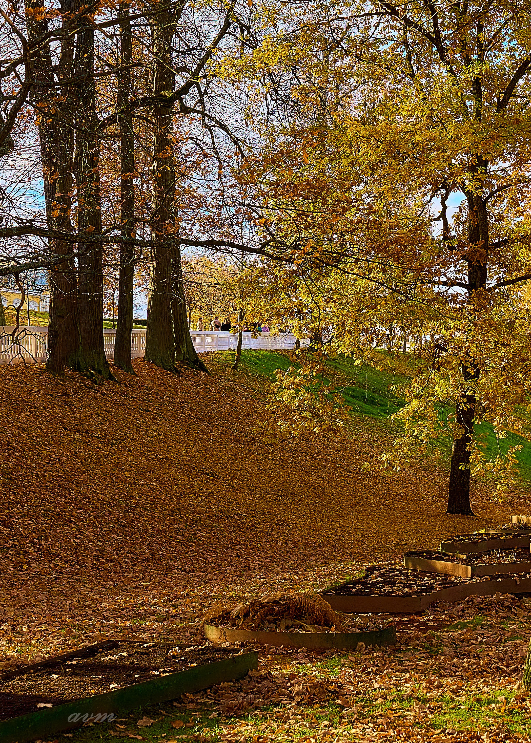 Петергоф. Фотограф Михеев Андрей