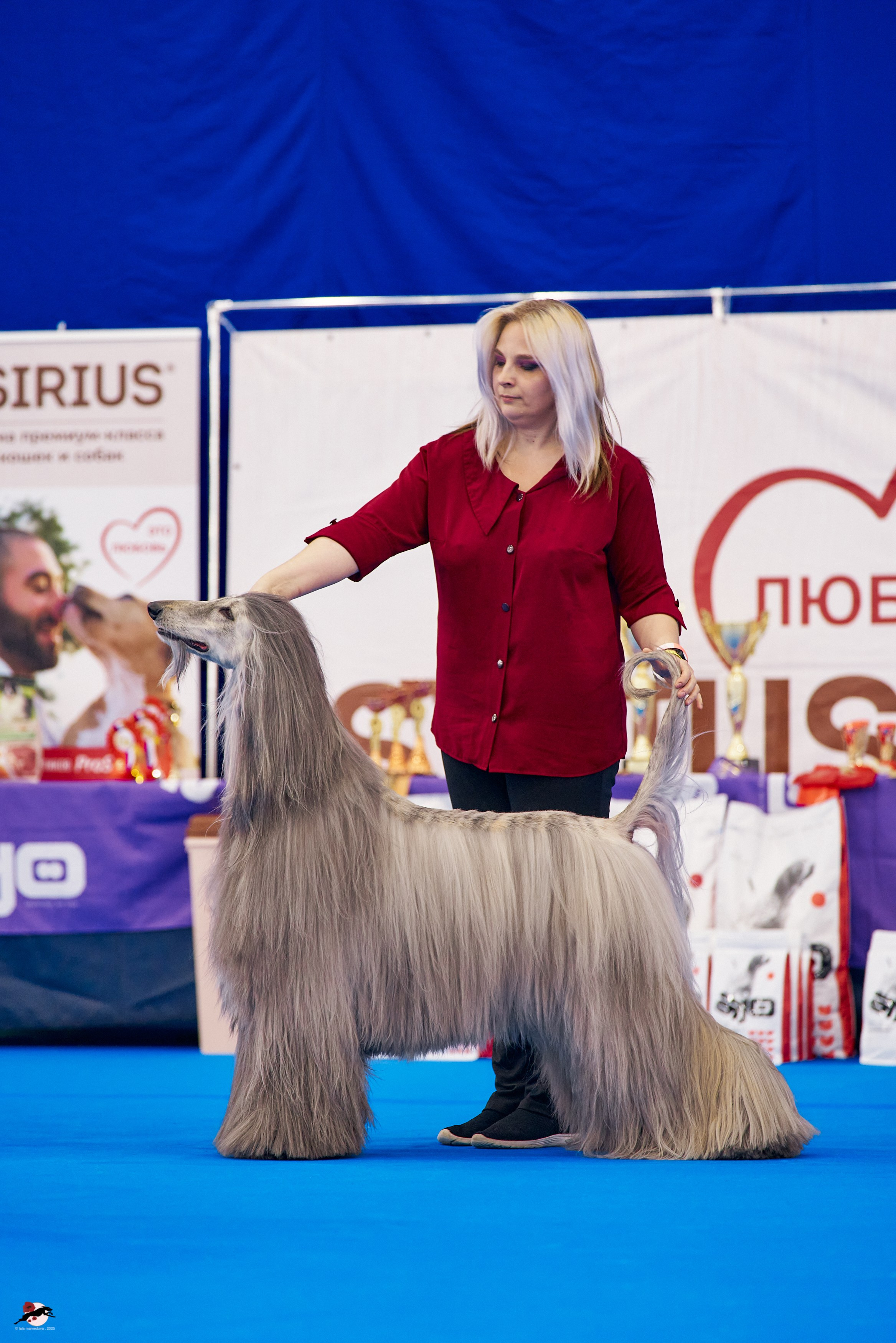 27.04.2025 | "Петербург-Элита 2025" & «КУБОК «ЭЛИТЫ»-2025»