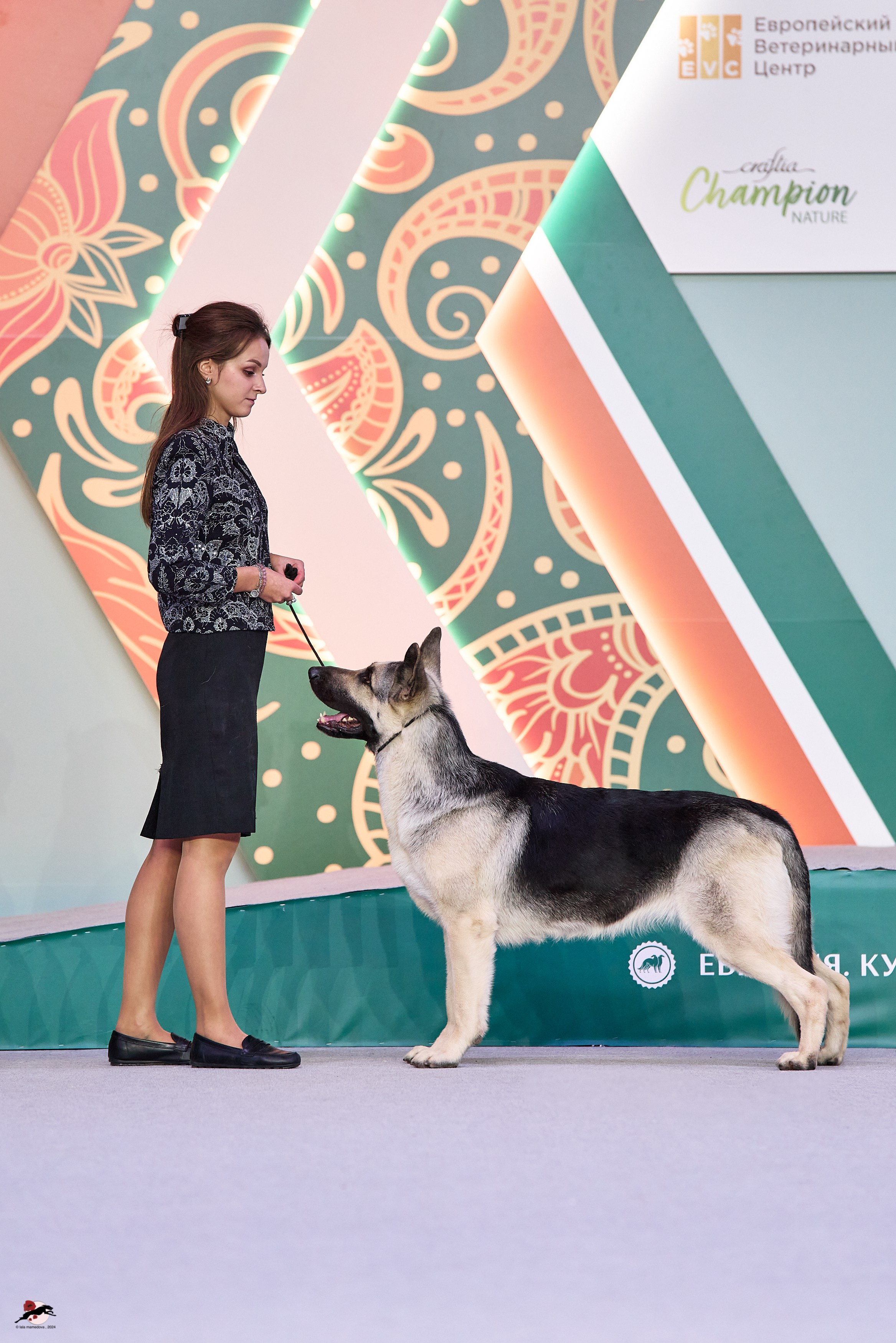 17.11.2024 «ЕВРАЗИЯ. КУБОК СНГ 2024»