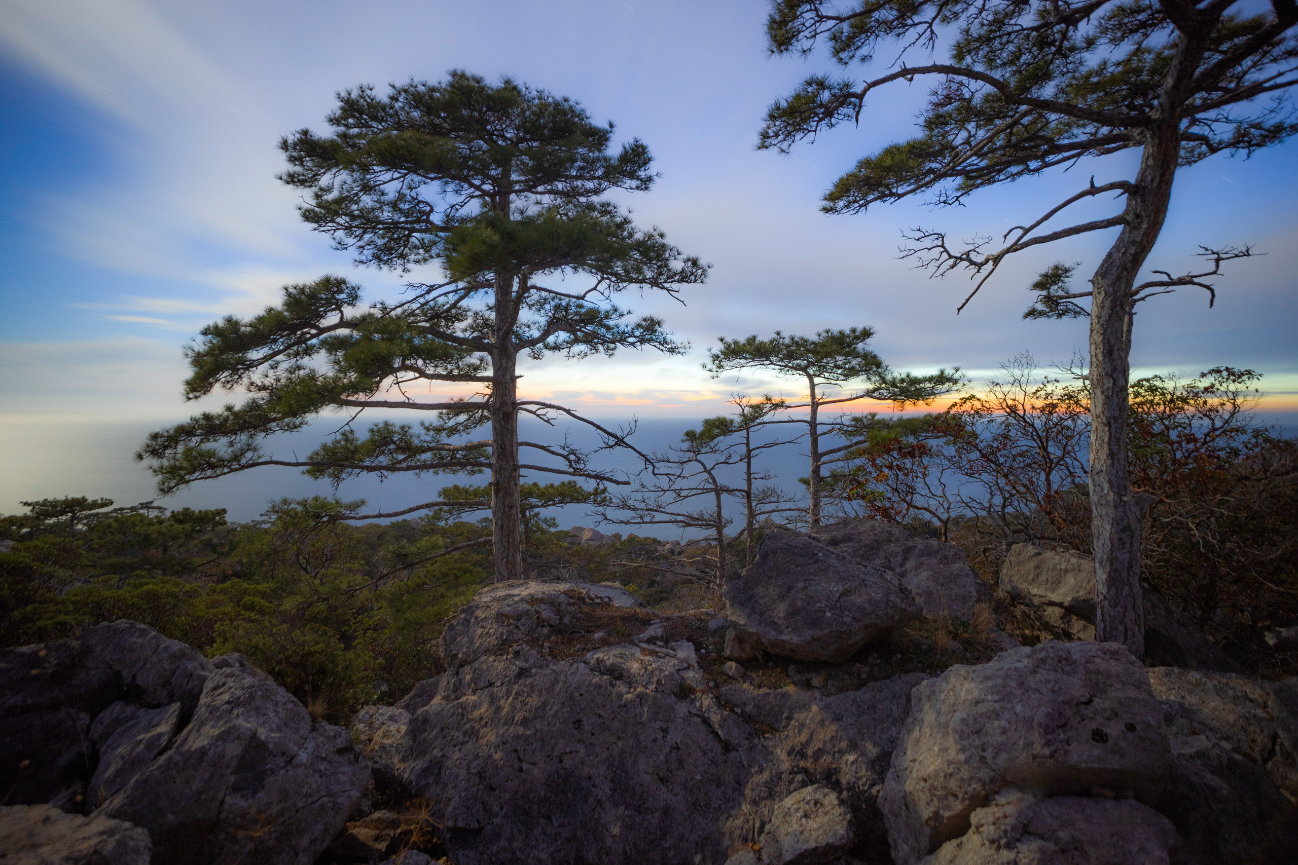 Природа. Глеб Захаренко — спортивный и репортажный фотограф в Крыму