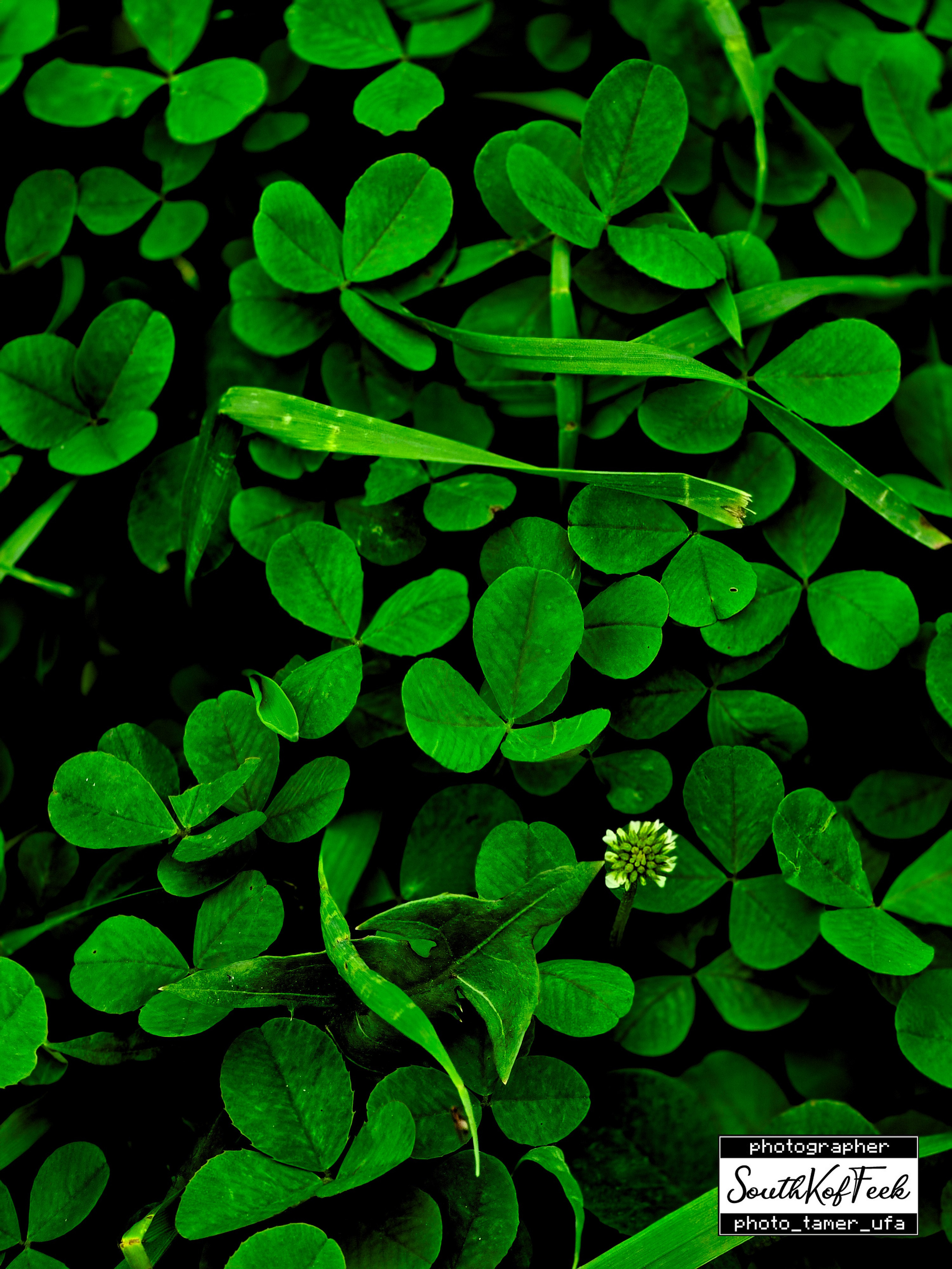 Прочие съемки. Photo Tamer Ufa