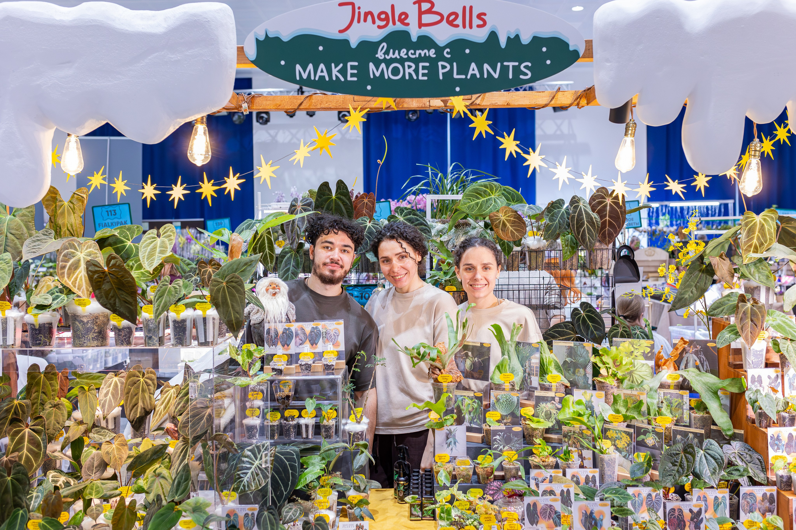 Орхидиум 12.2025. Александра Куликова фотограф, Москва