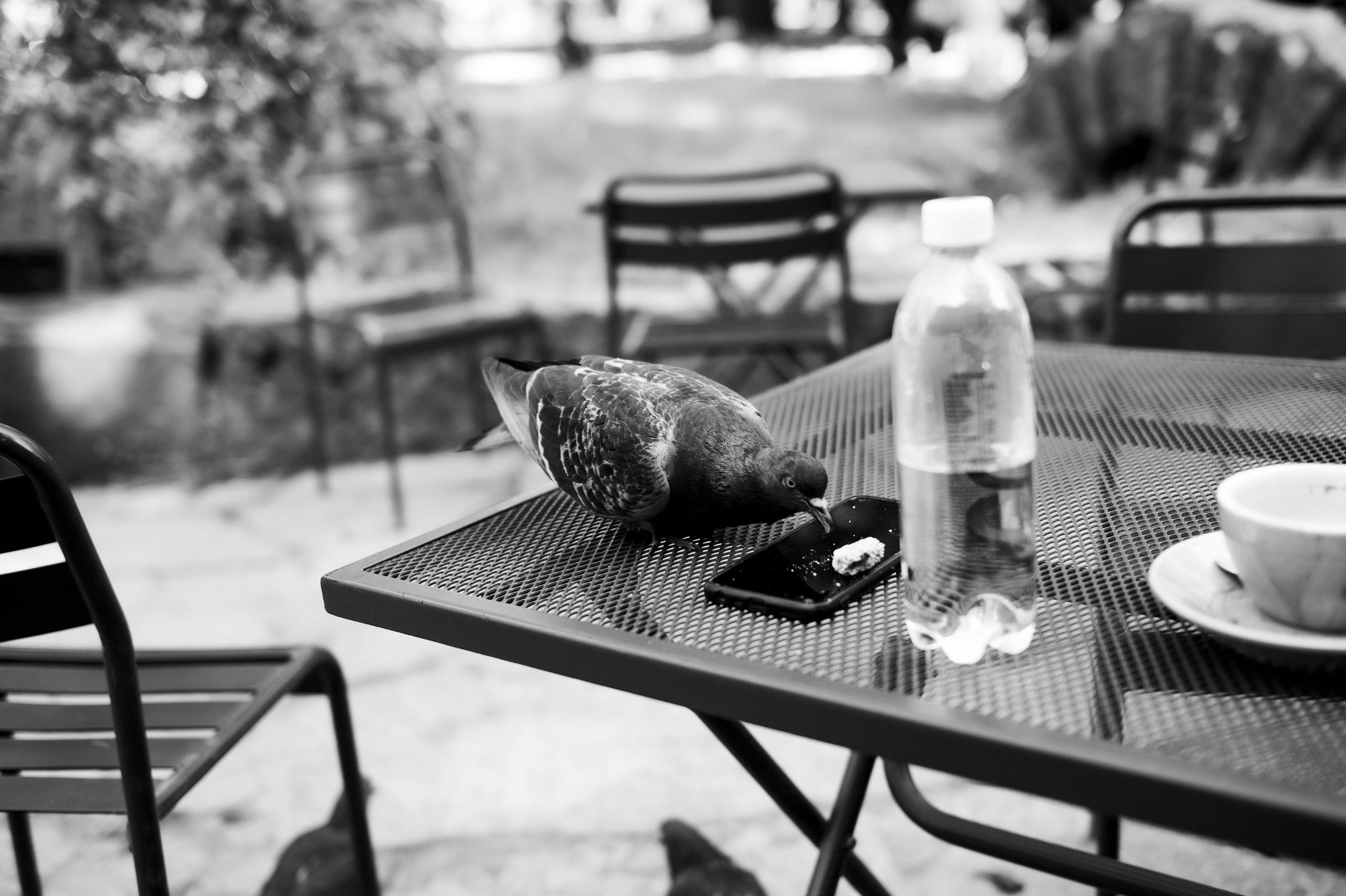 Штормовое предупреждение. May the numbers guide us