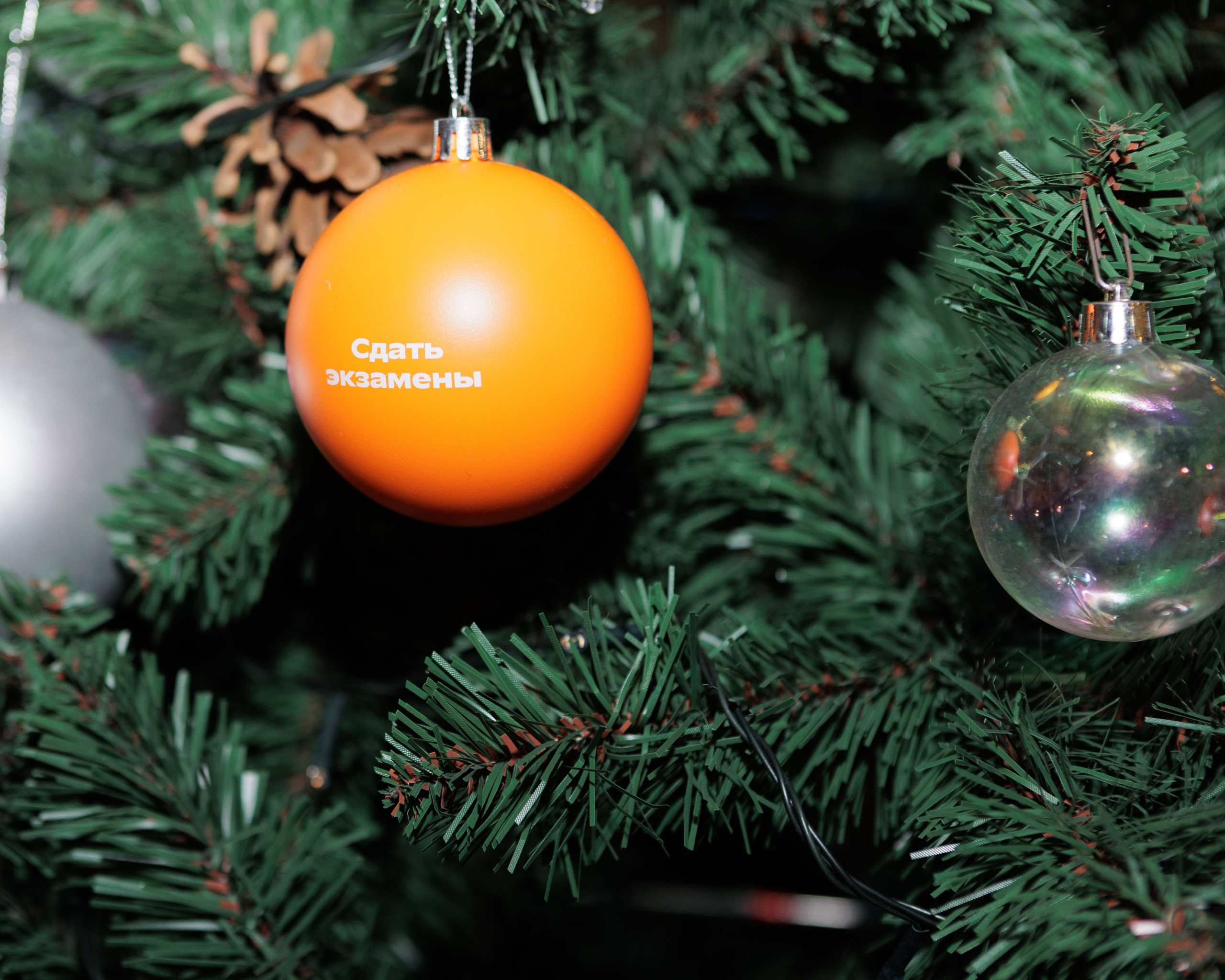 3-4 классы: Новый год в ФОКСФОРД. Выпускные альбомы и школьный фотограф в Подольске, Троицке, Щербинке, Москве и Московской области