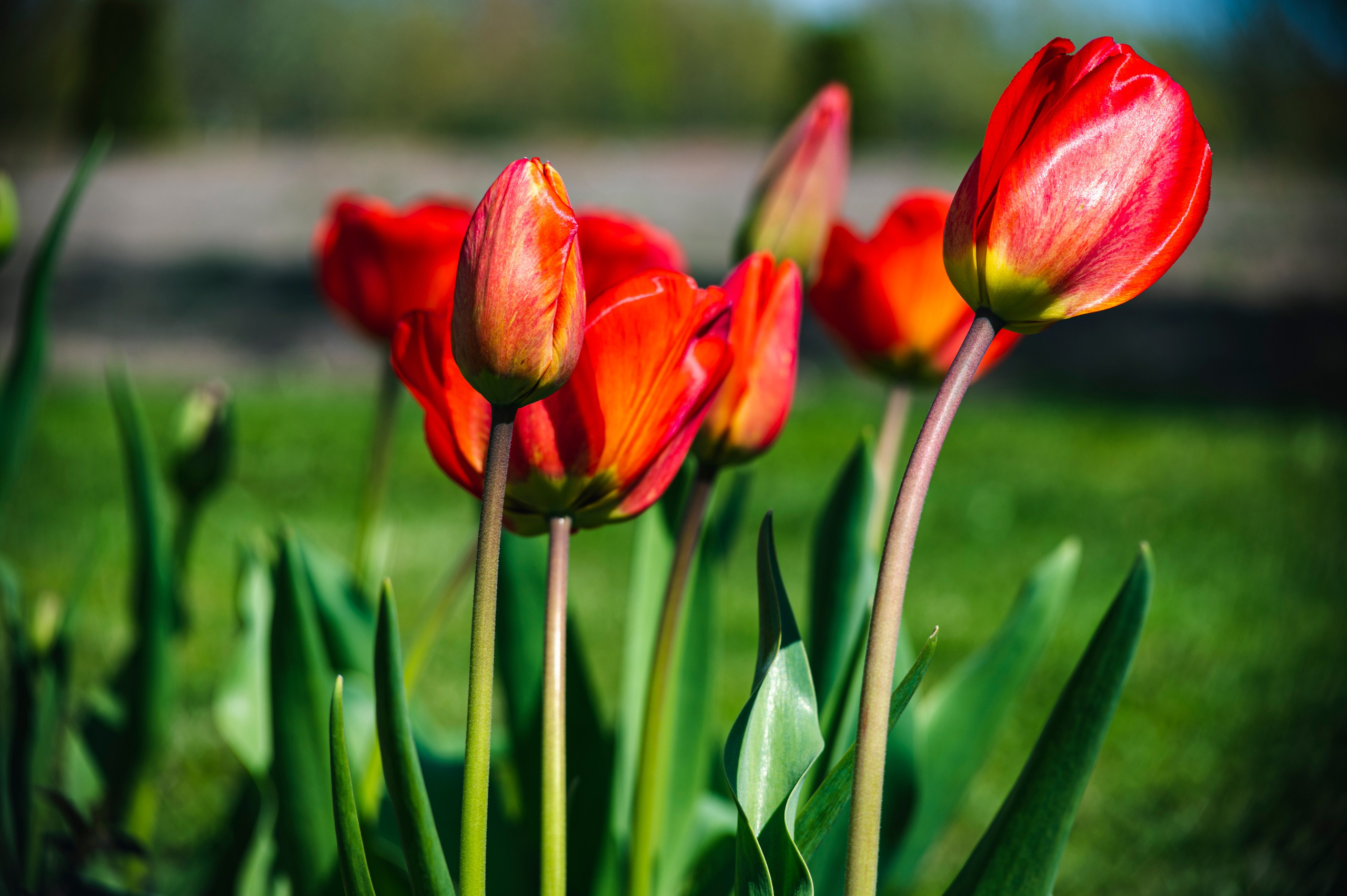 Муром. Май 2022. Фотограф Роман Адлер