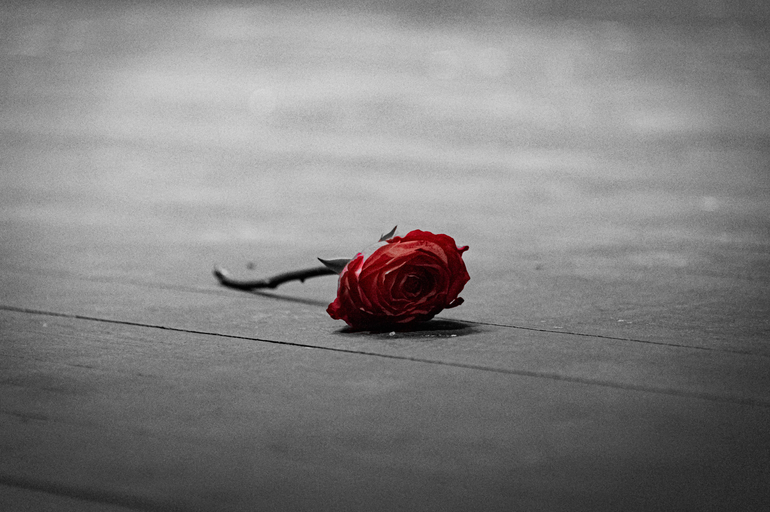 ТОП Стюардесс 2023. Фотограф Роман Адлер