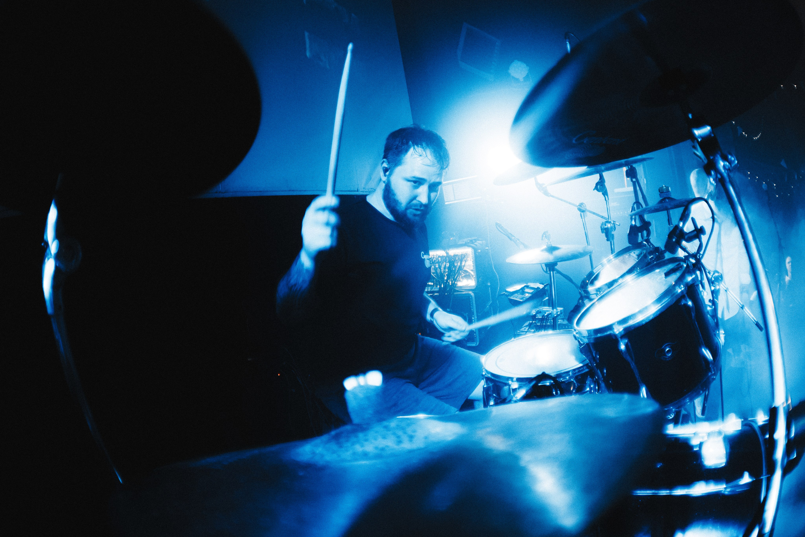 WITNESS EFFECT | 19.04.25 | Ласточка