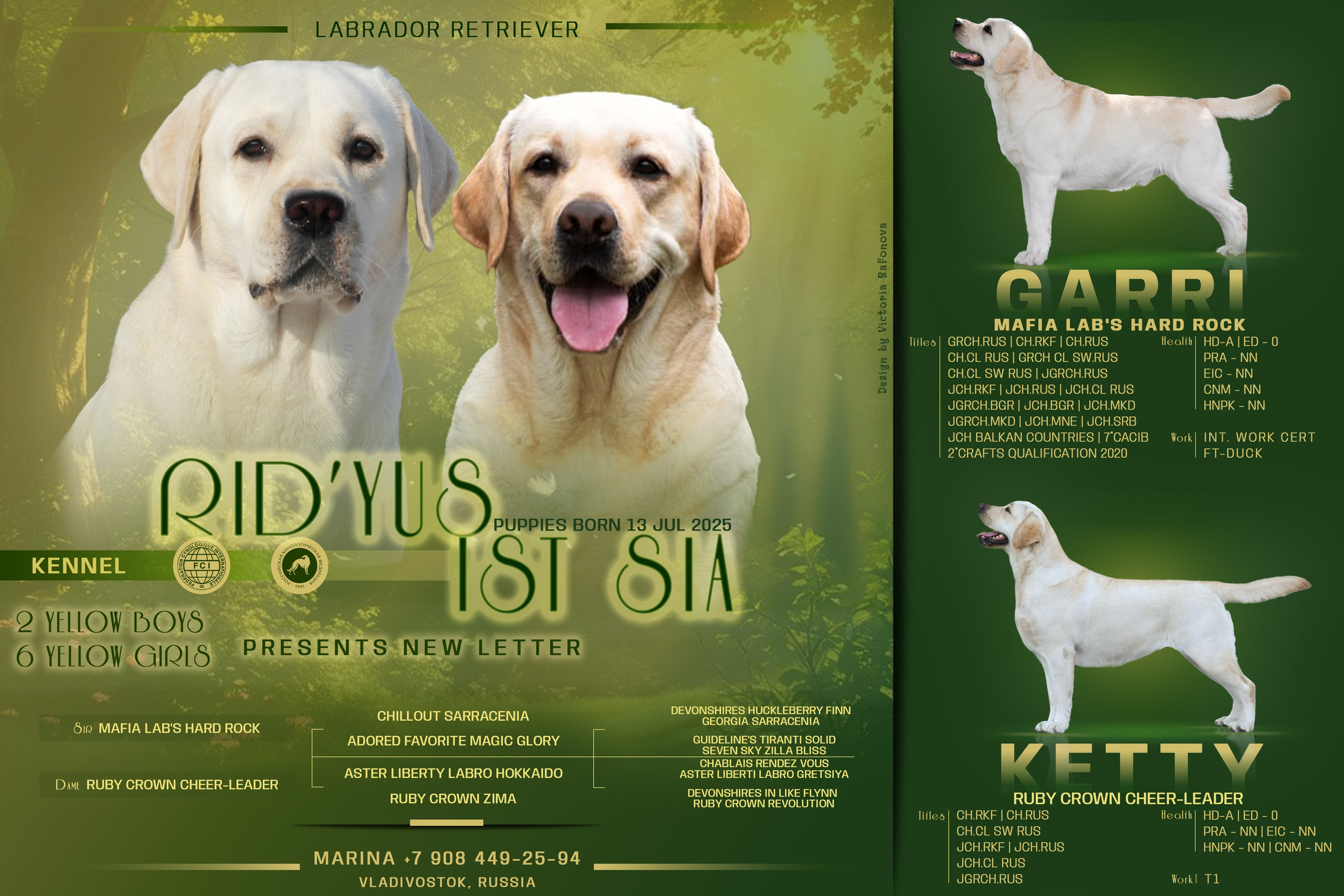 Анонсы помётов. Фотограф анималист Благовещенск. Сафонова Виктория