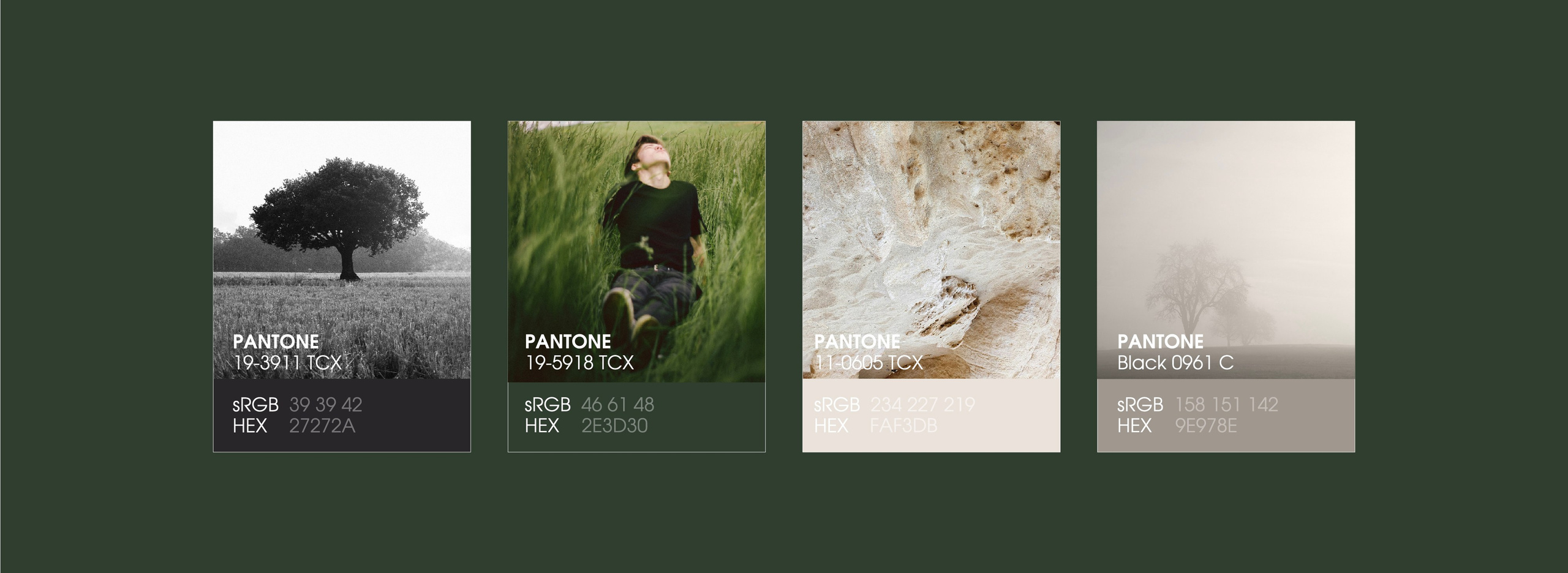 Lavka aromatov фирменный стиль, брендинг