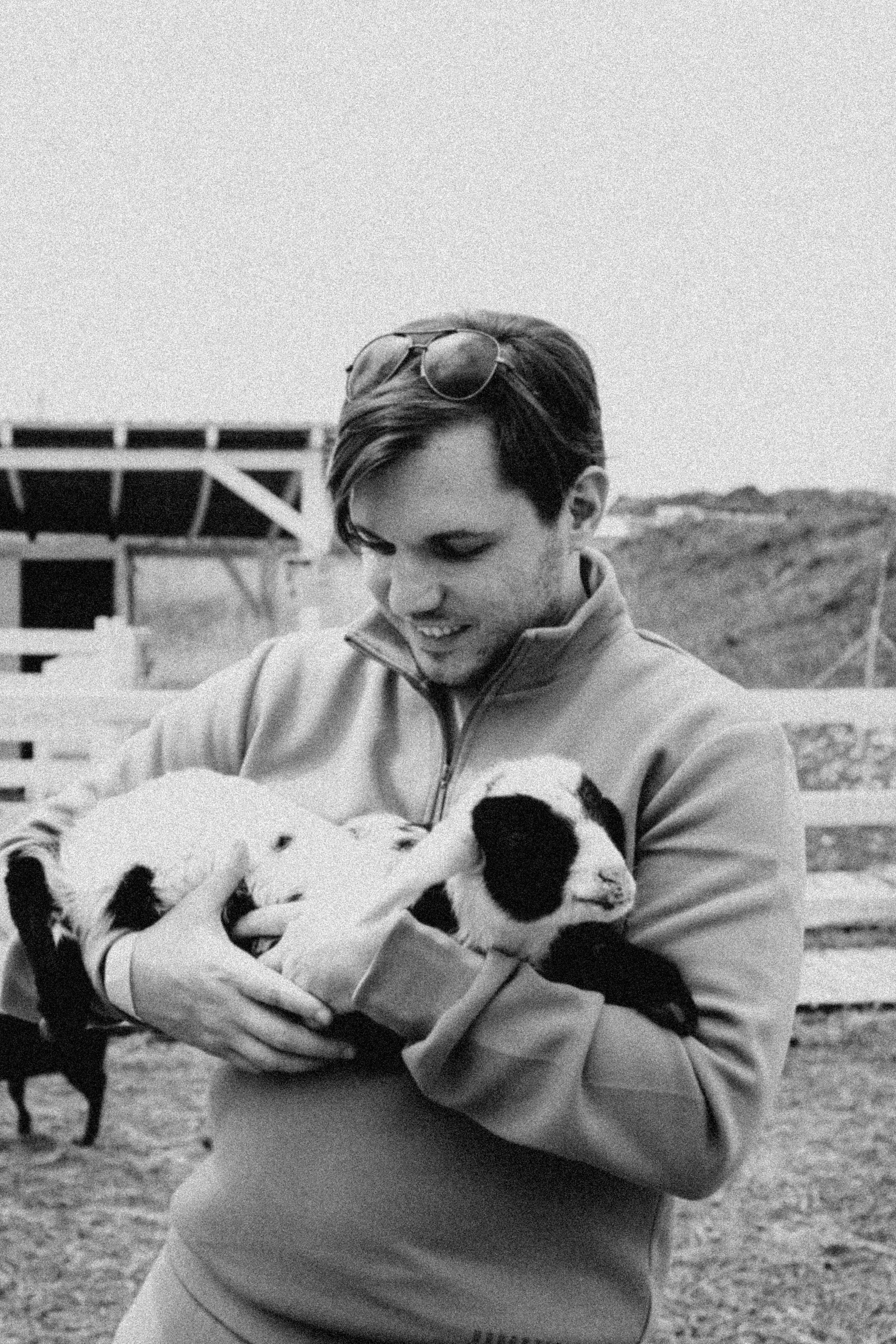 Ферма Альпак. Профессиональный фотограф, Санкт-Петербург — Виктория Богомолова