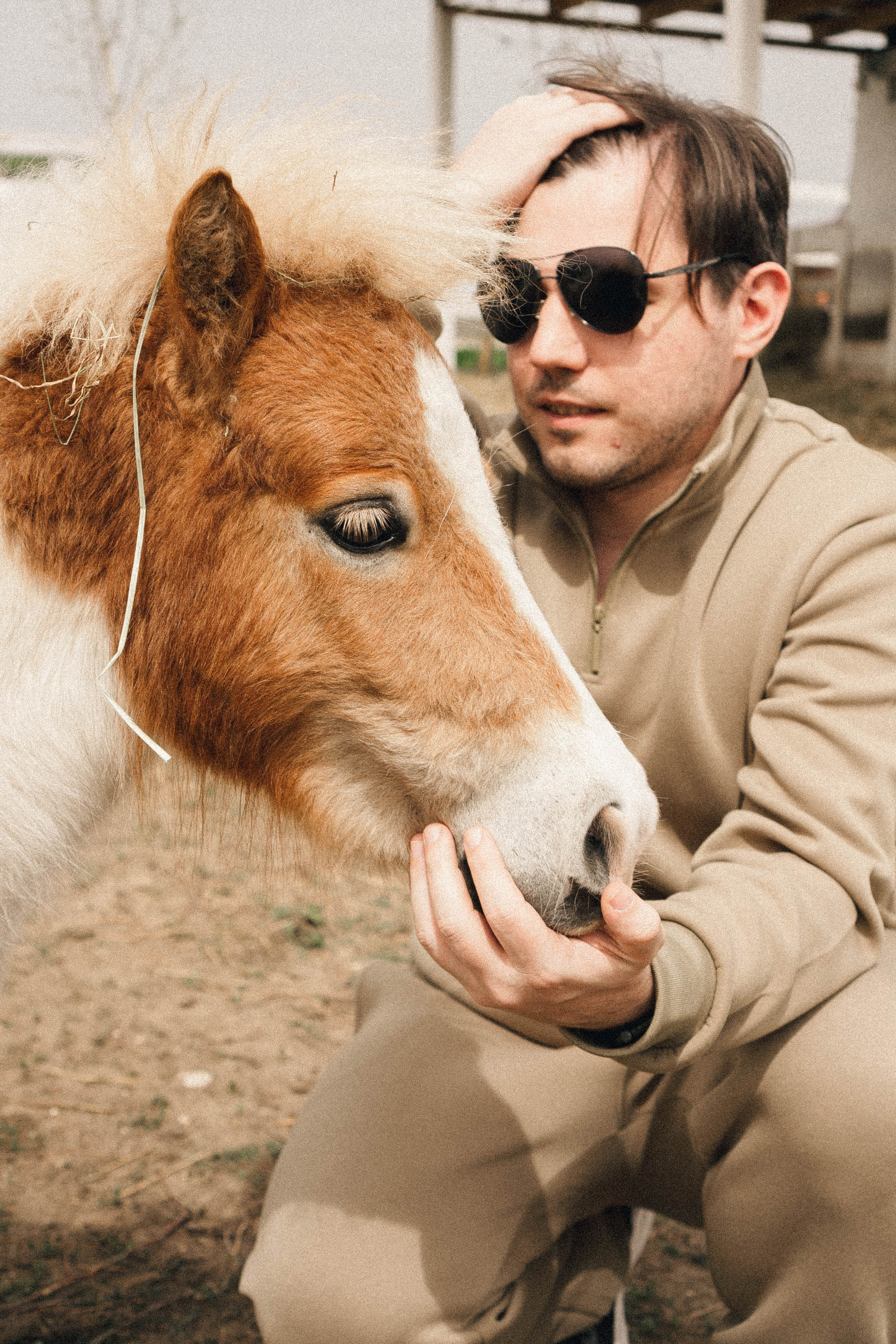 Ферма Альпак. Профессиональный фотограф, Санкт-Петербург — Виктория Богомолова