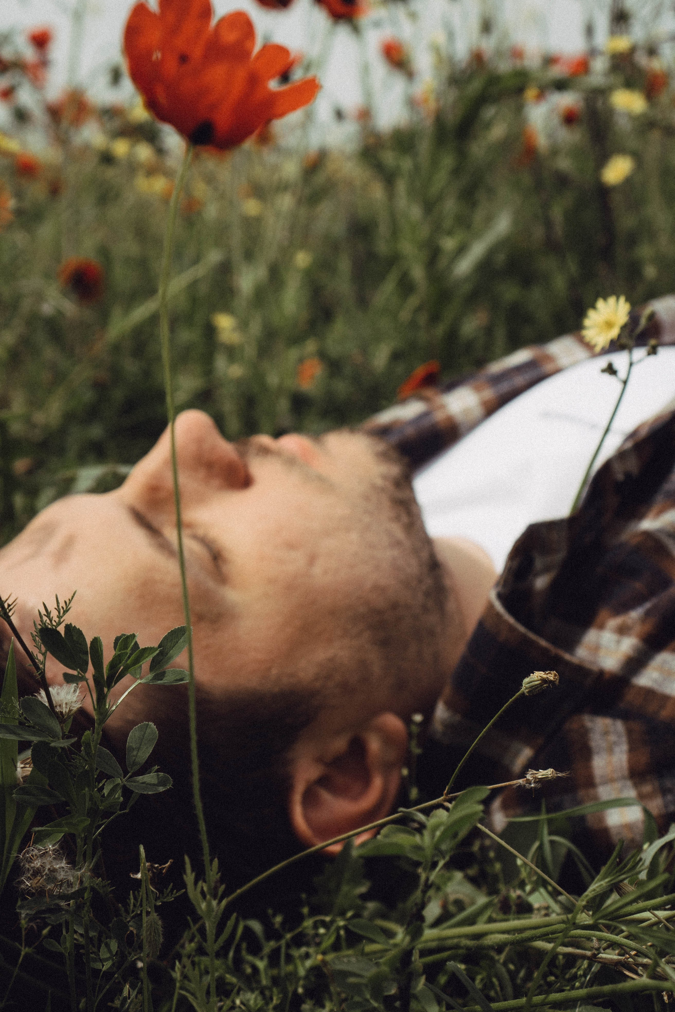 Маки. Профессиональный фотограф, Санкт-Петербург — Виктория Богомолова