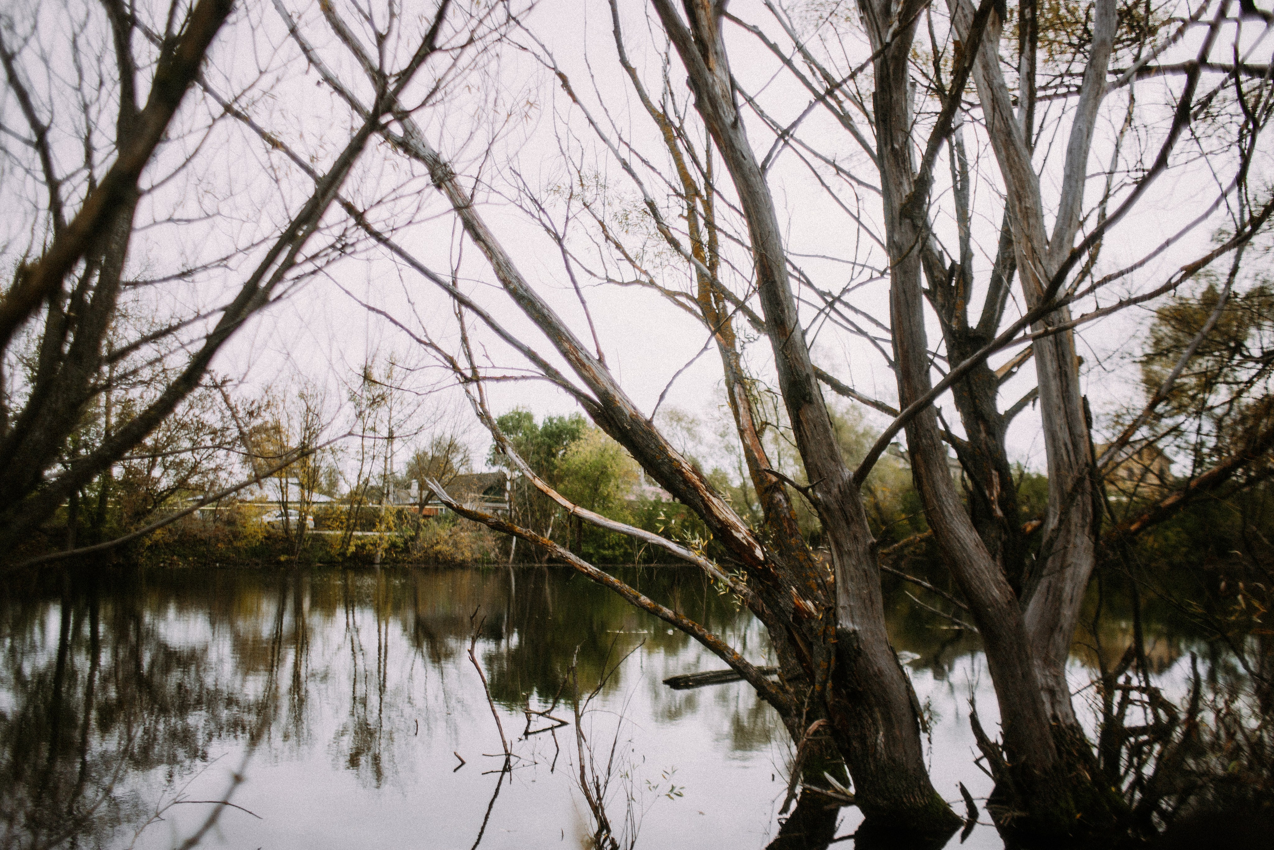 Ариадна. Фотограф в Нижнем Новгороде