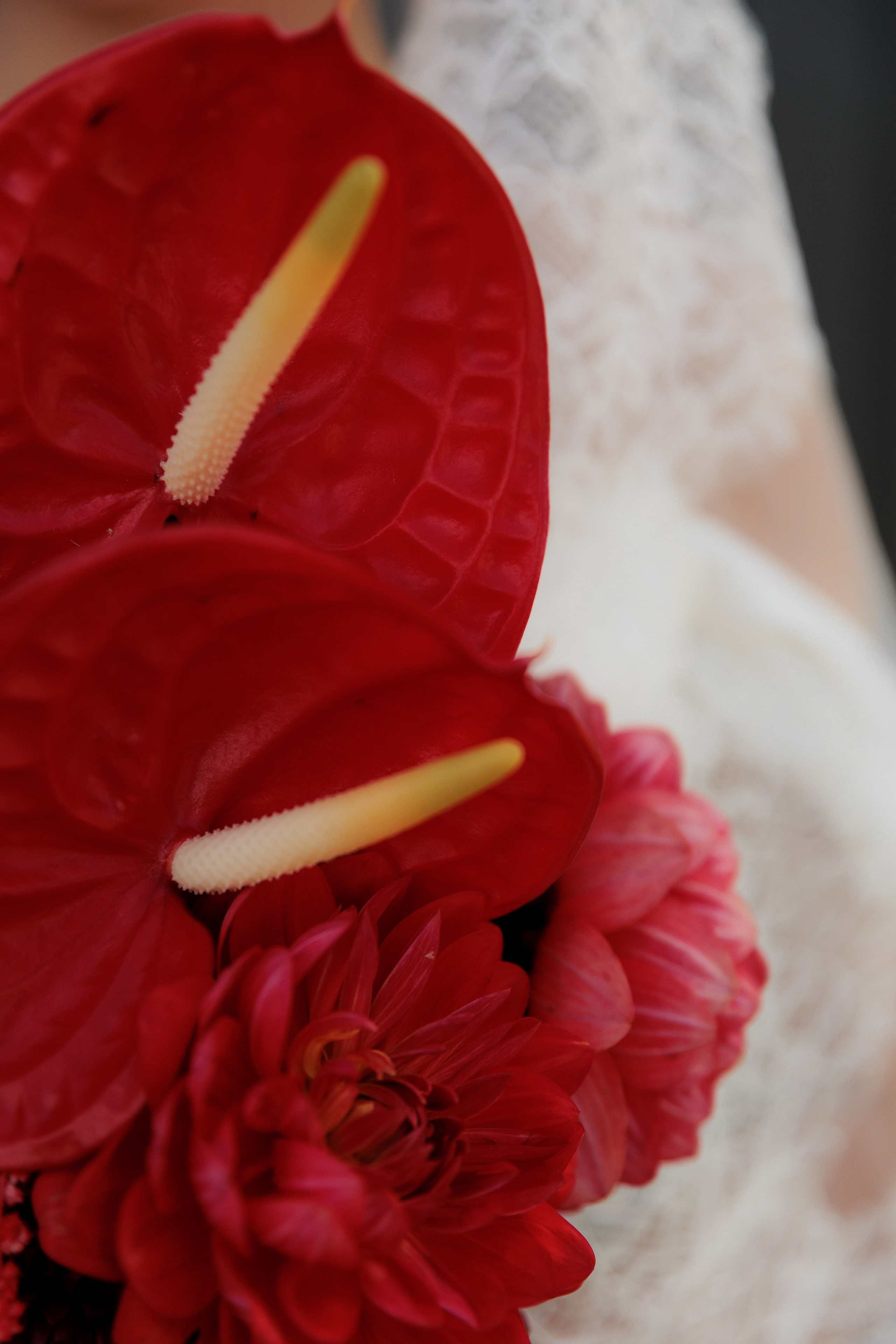 Лилия и Алексей. Фотограф Дарья Норкина