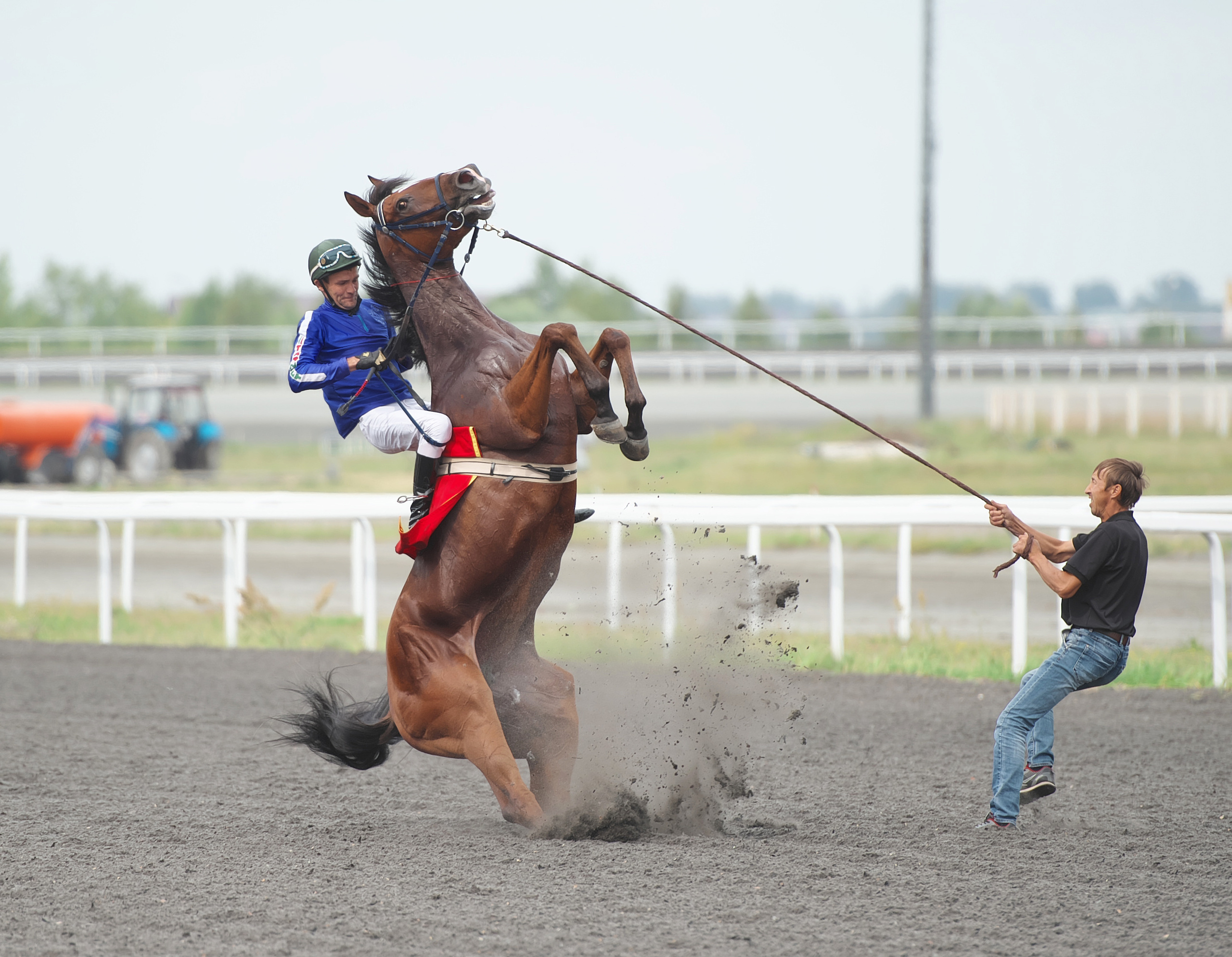 РЕПОРТАЖ. Главная