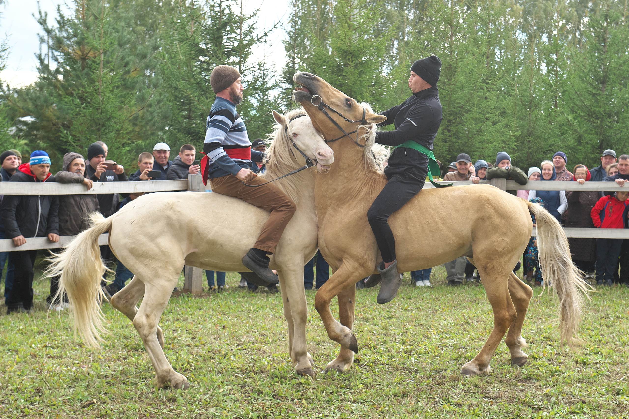 РЕПОРТАЖ. Главная