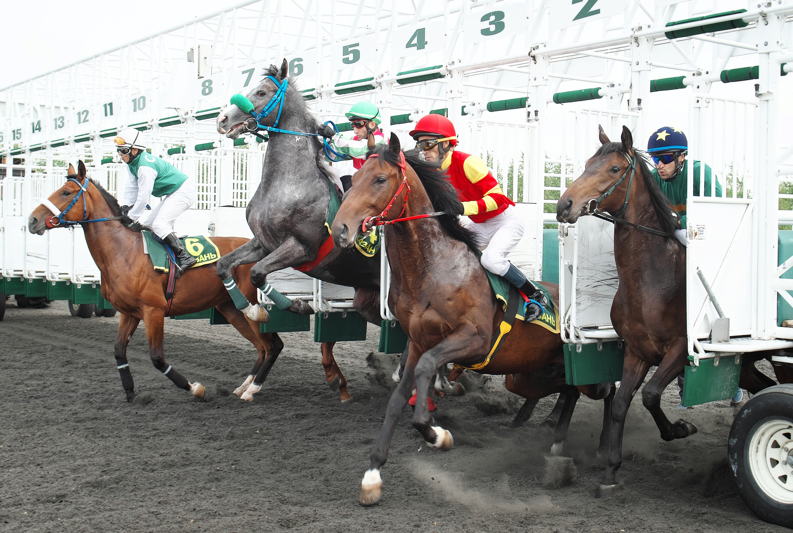 РЕПОРТАЖ. Главная