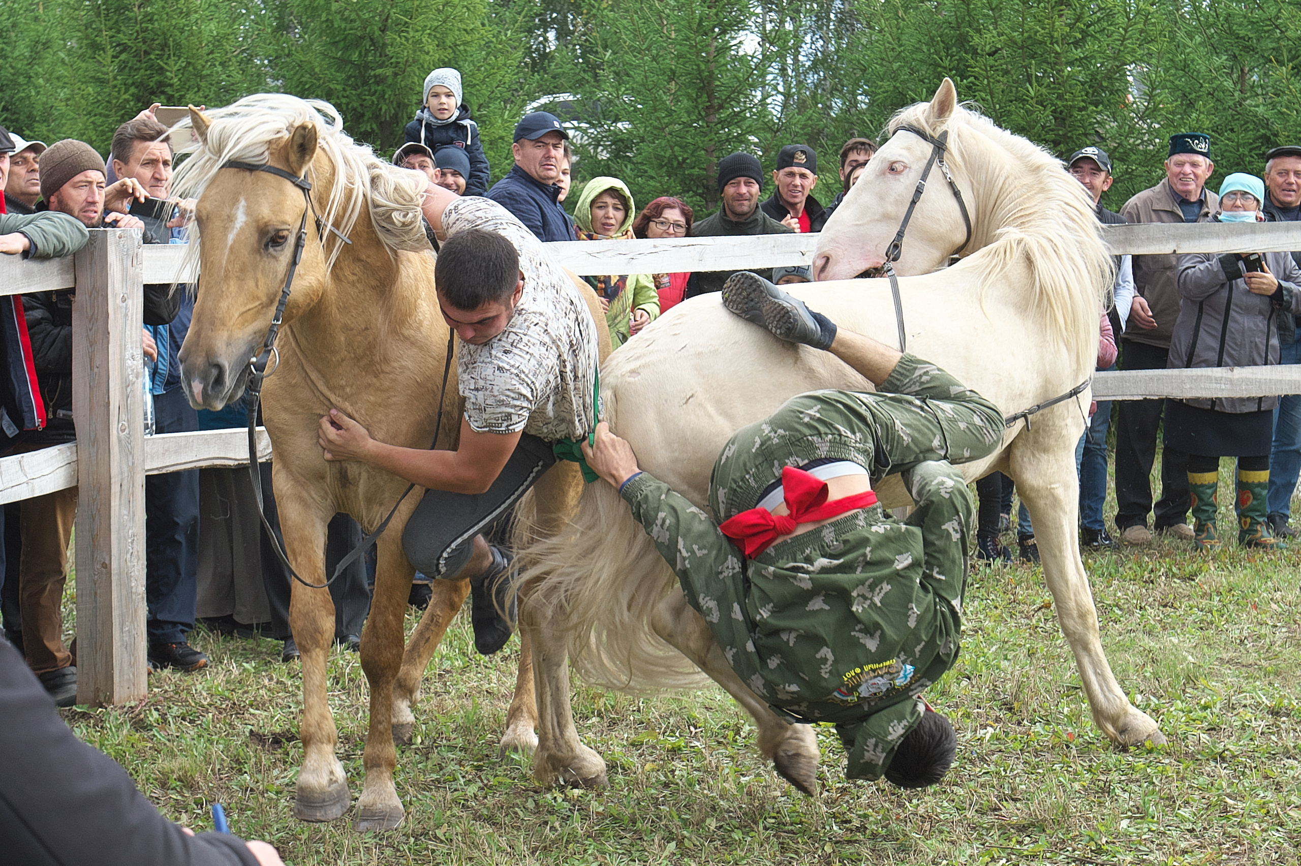 РЕПОРТАЖ. Главная