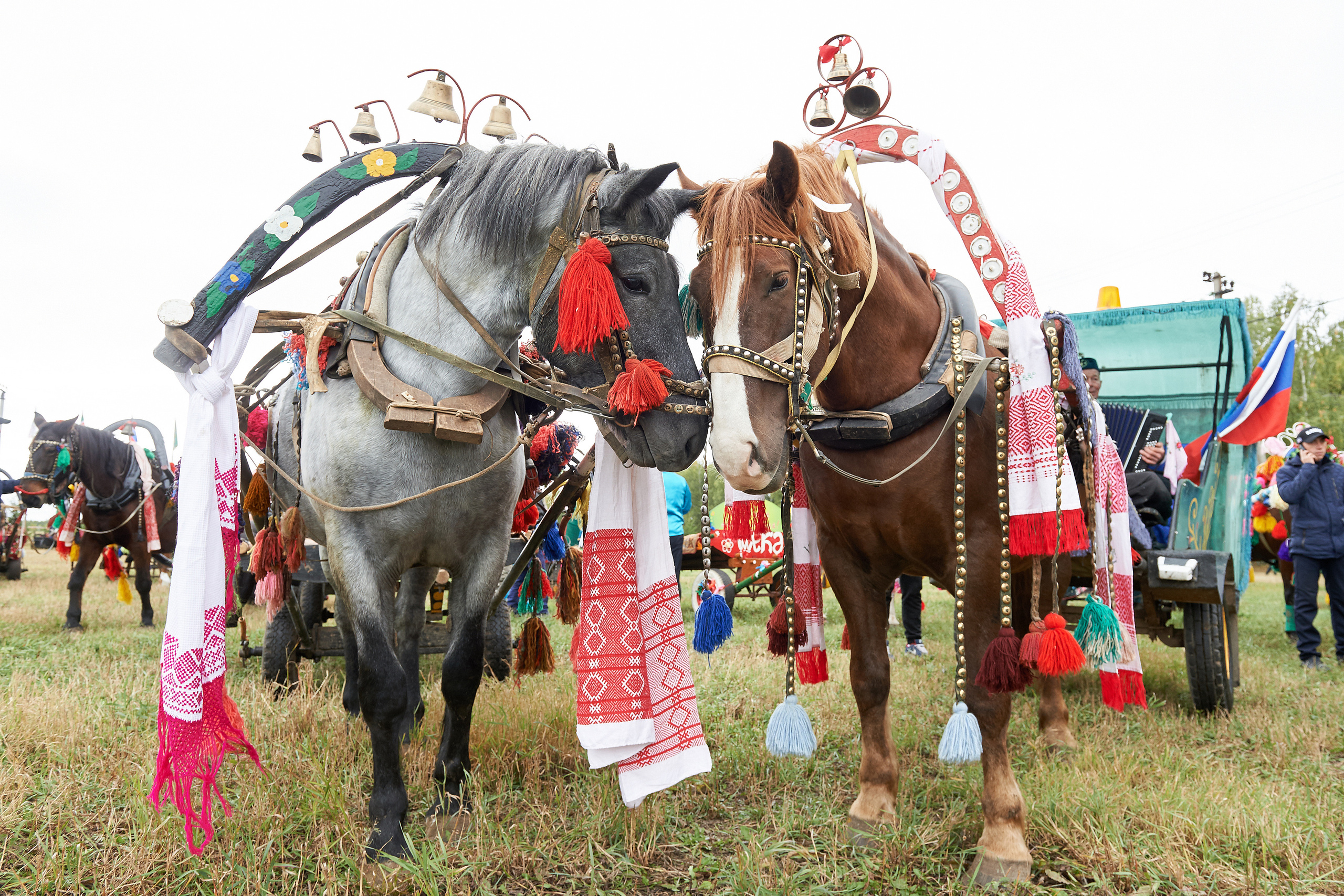 РЕПОРТАЖ. Главная