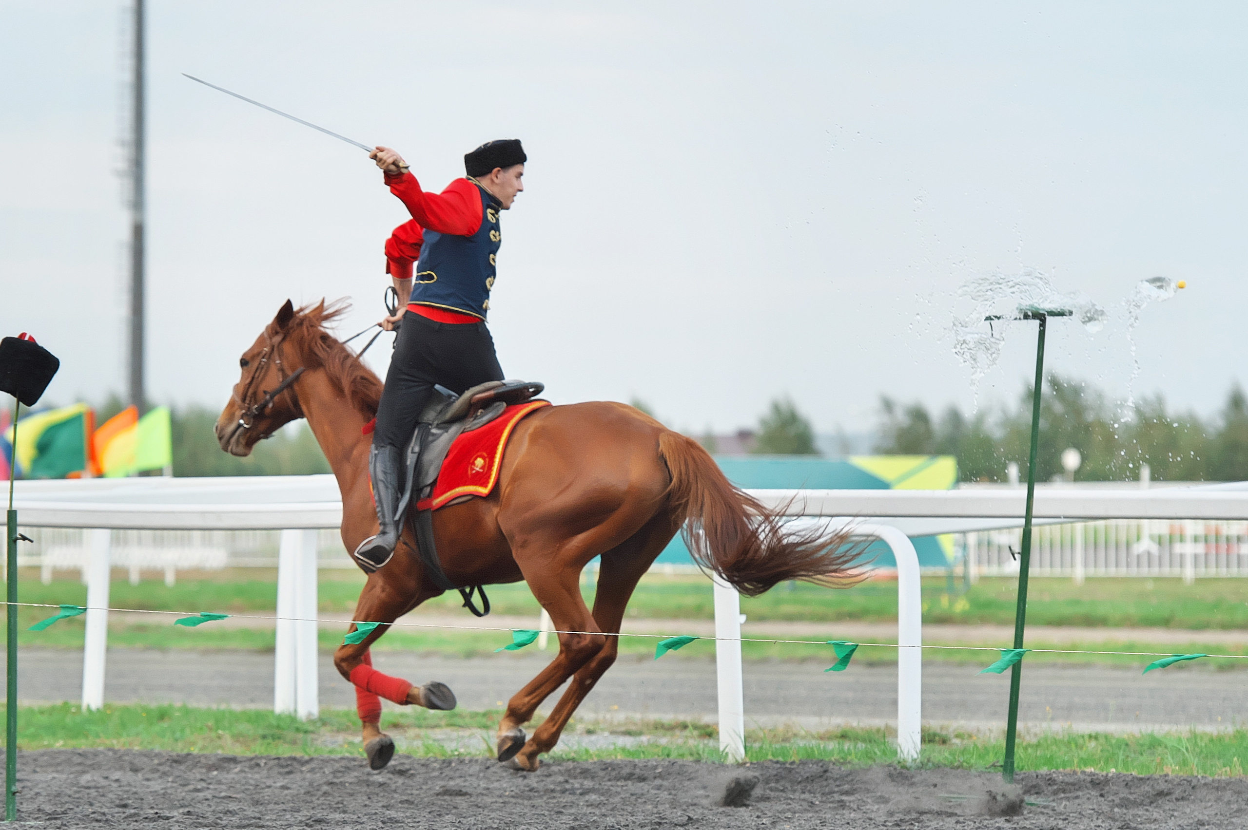 РЕПОРТАЖ. Главная