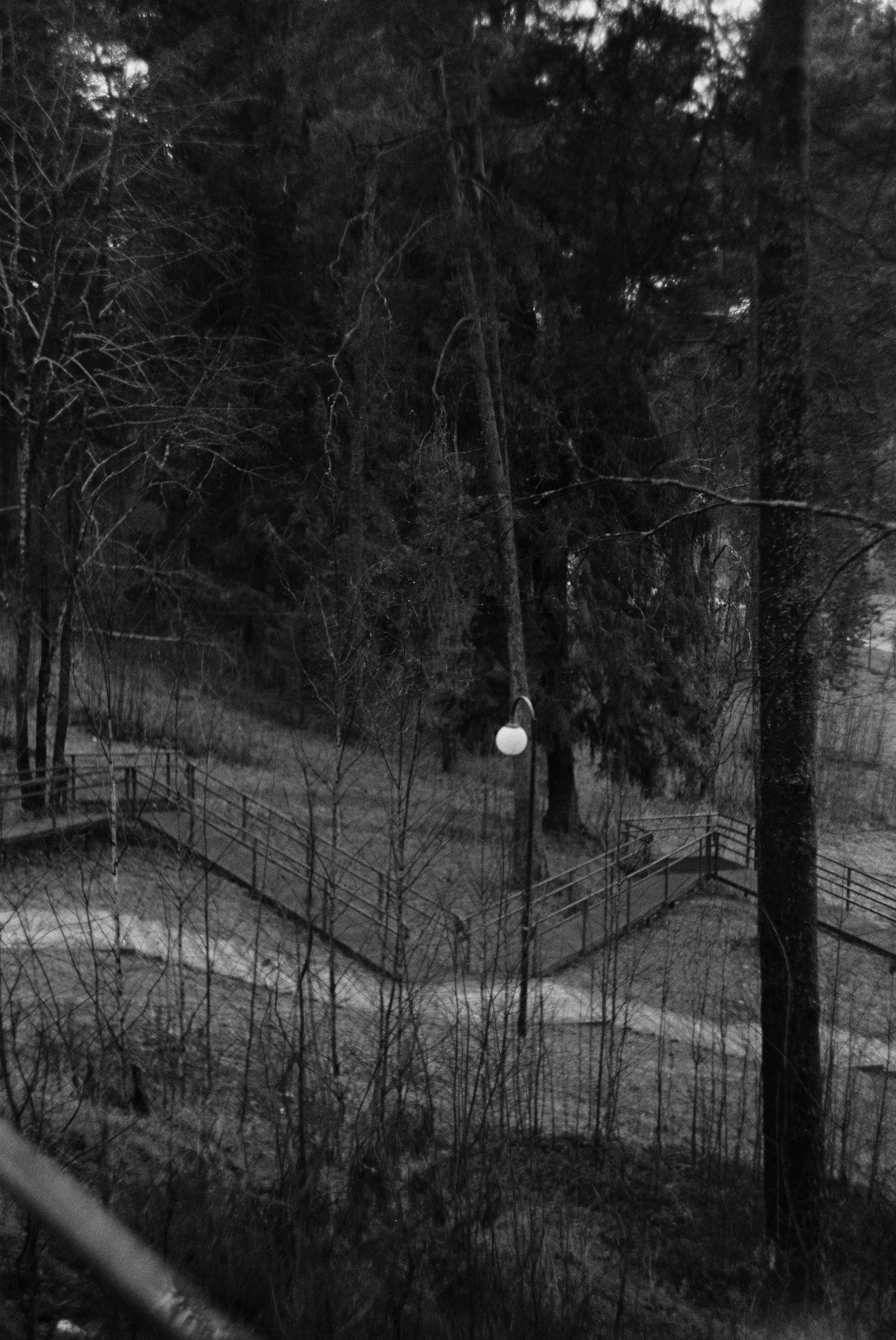 Зенит ЕТ с объективом Гелиос 44-М4 и черно-белой пленкой Ilford PAN 400 ISO