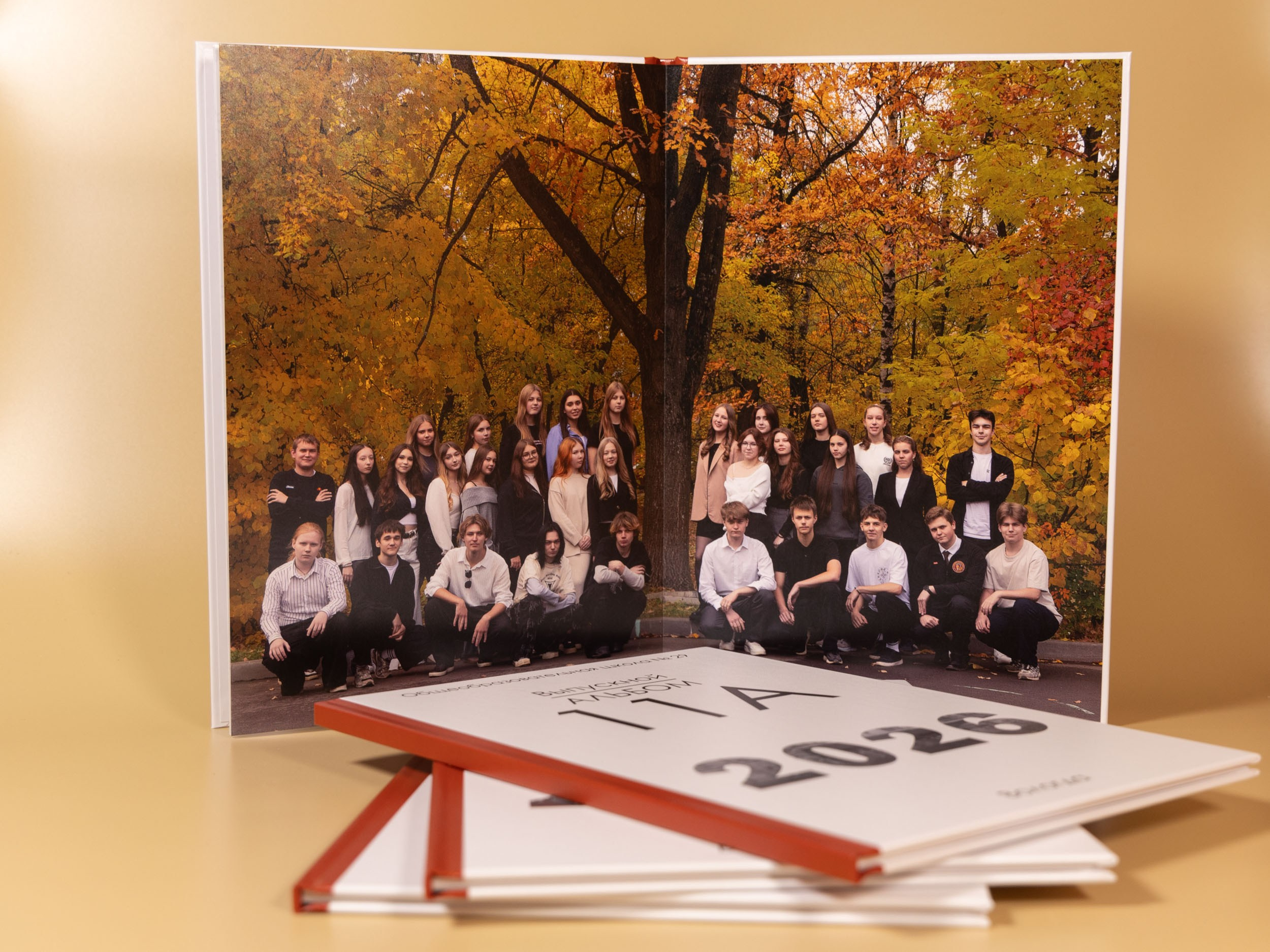 Выпускная папка для 11 класса в Вологде