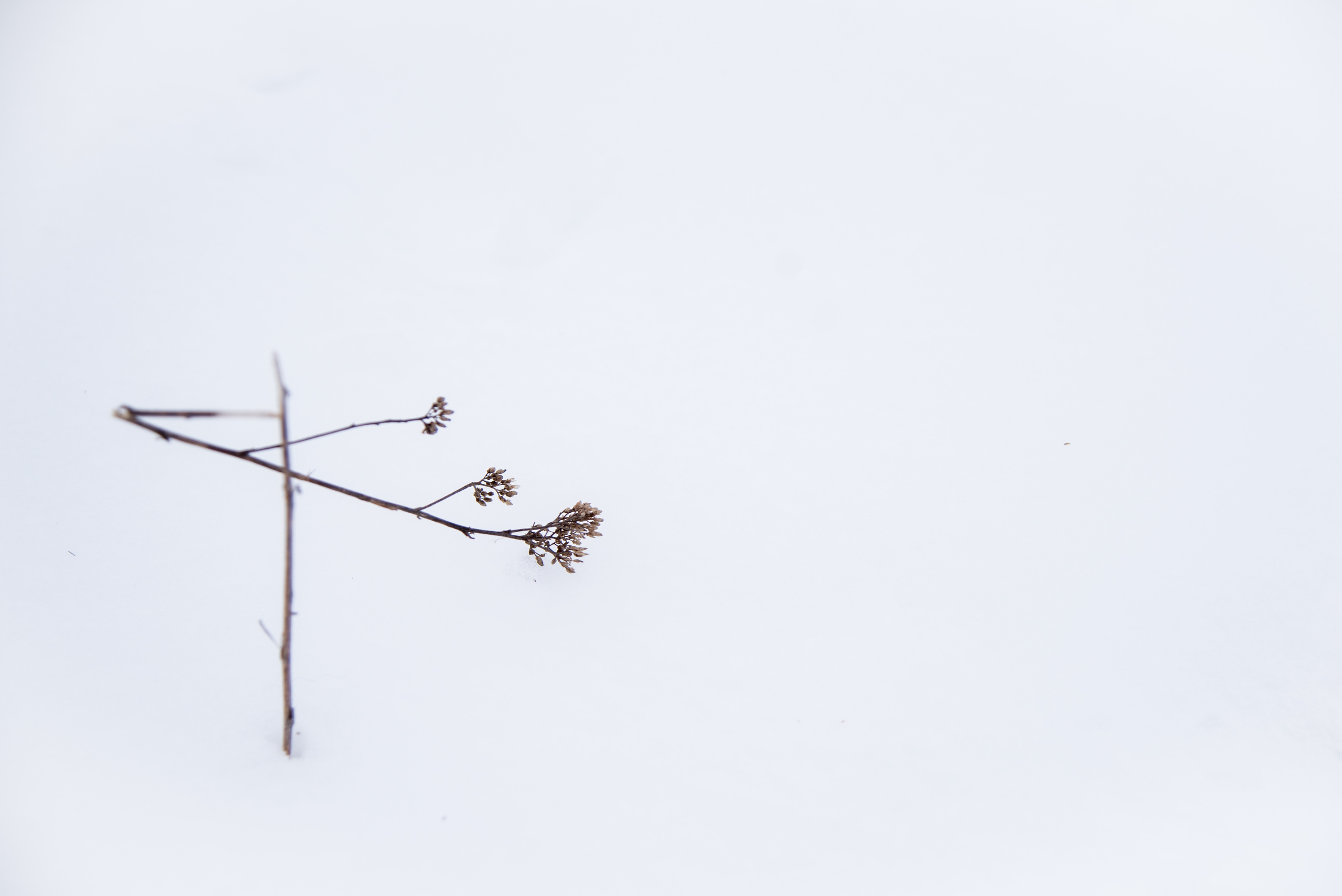 Природа. Фотография для жизни от Елены Чихичиной