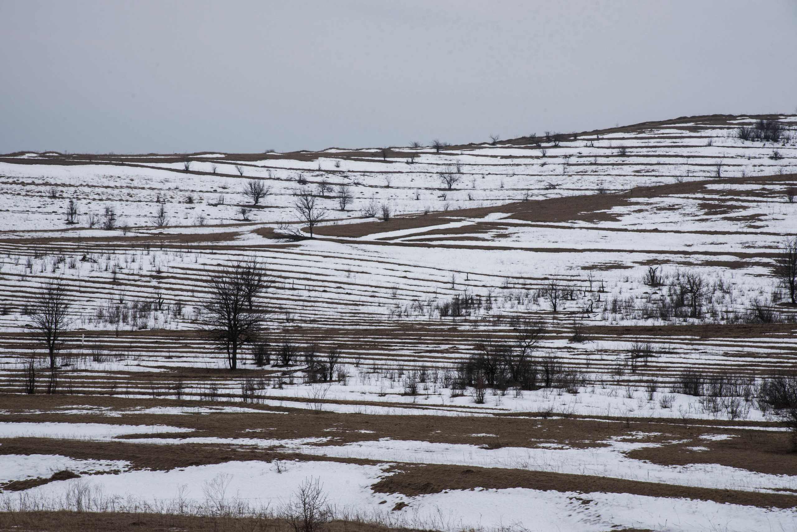 Пейзаж. Фотография для жизни от Елены Чихичиной