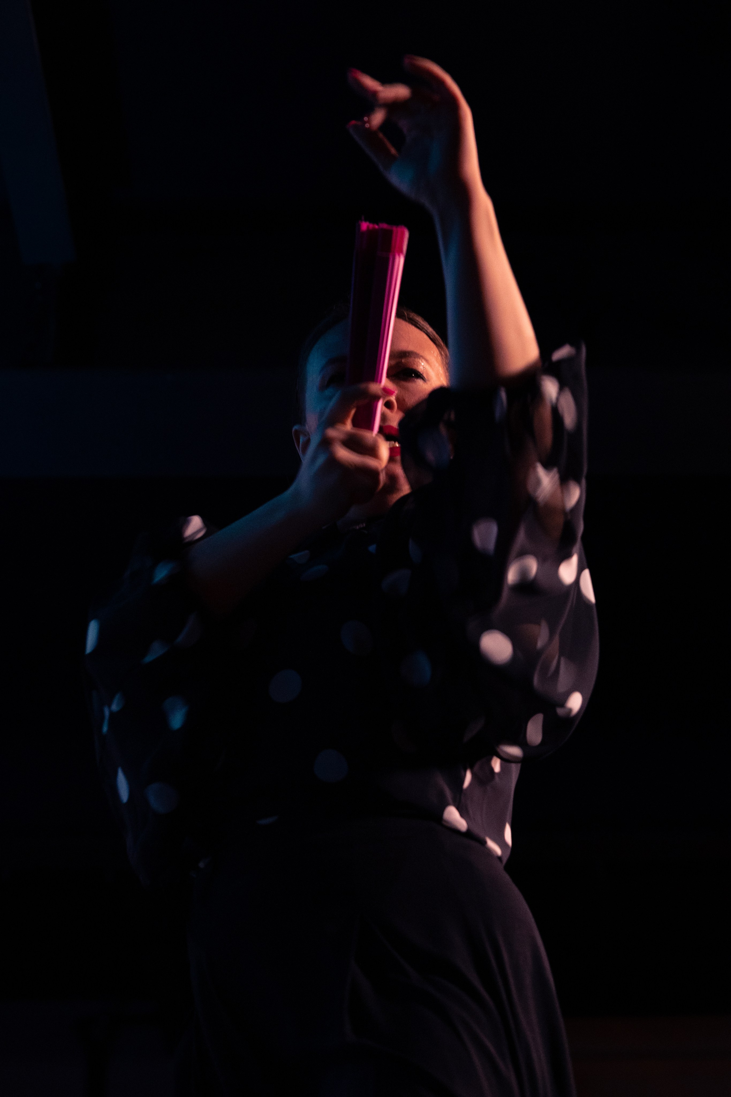 Flamenco 02.01.2025. Индивидуальные съемки, портретный фотограф