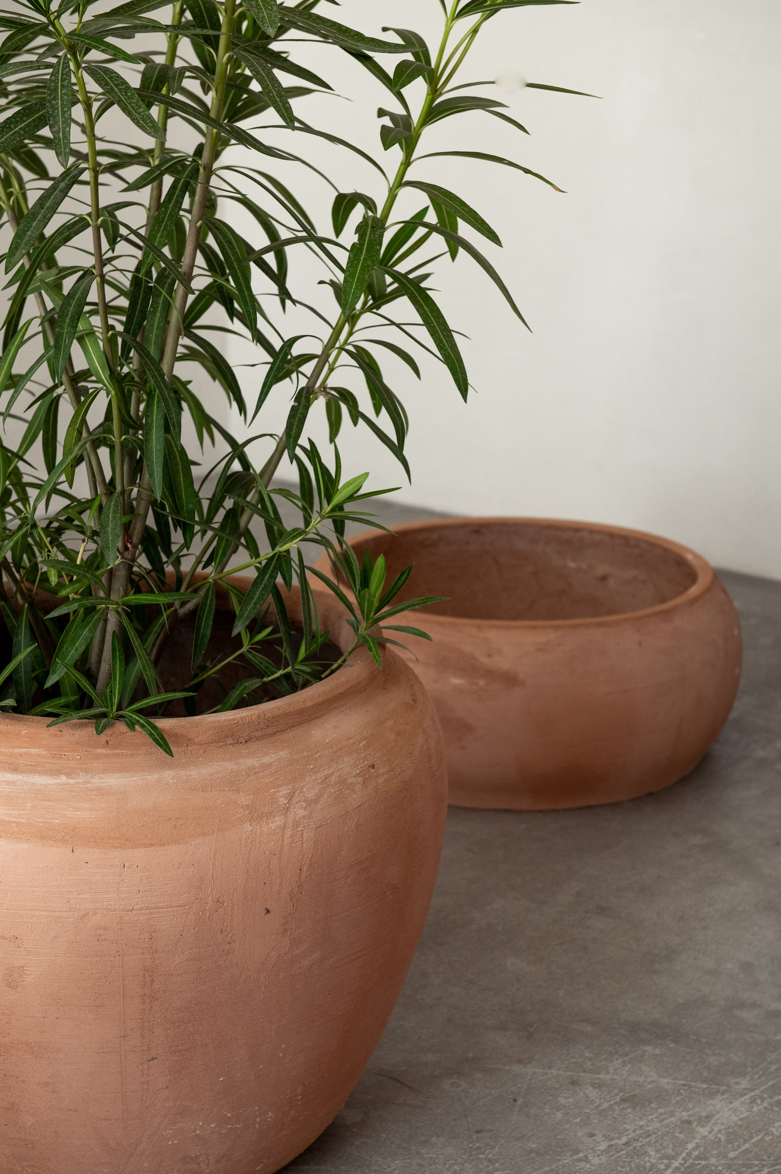 Wabiramy. Текстурная керамика для интерьера и дизайна. Екатерина Бакурова — контент фотограф, женский фотограф в Краснодаре