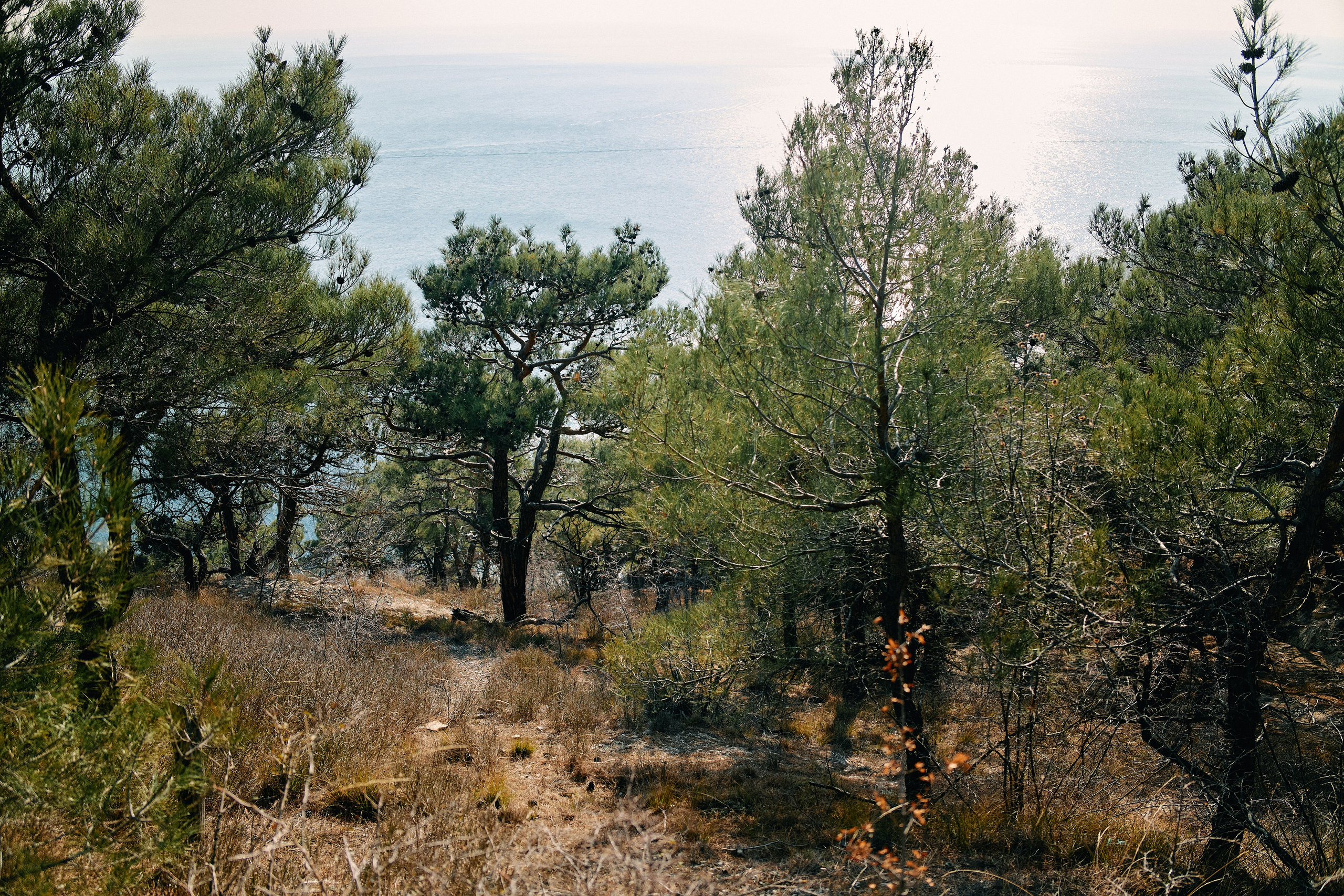 Юг России. Профессиональный Фотограф во Владимире, в Москве и в Суздале — Полина Романычева