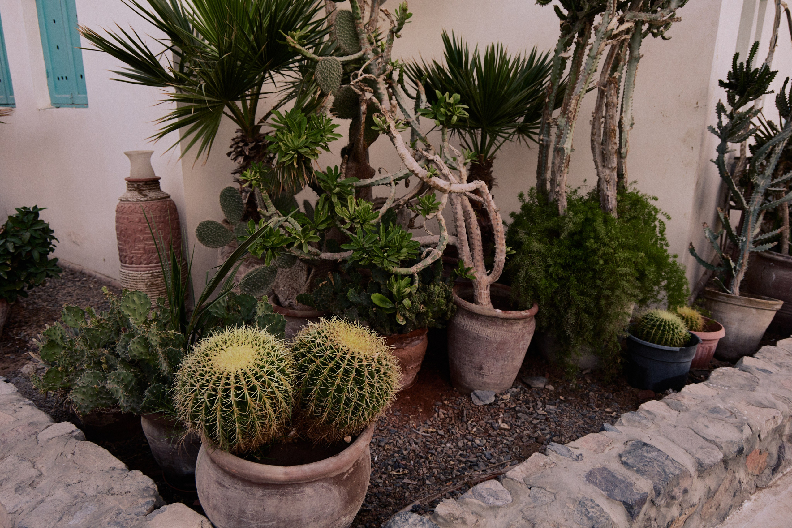 Другое 3. Jorgis — фотограф в Хургаде / обучение фотографии