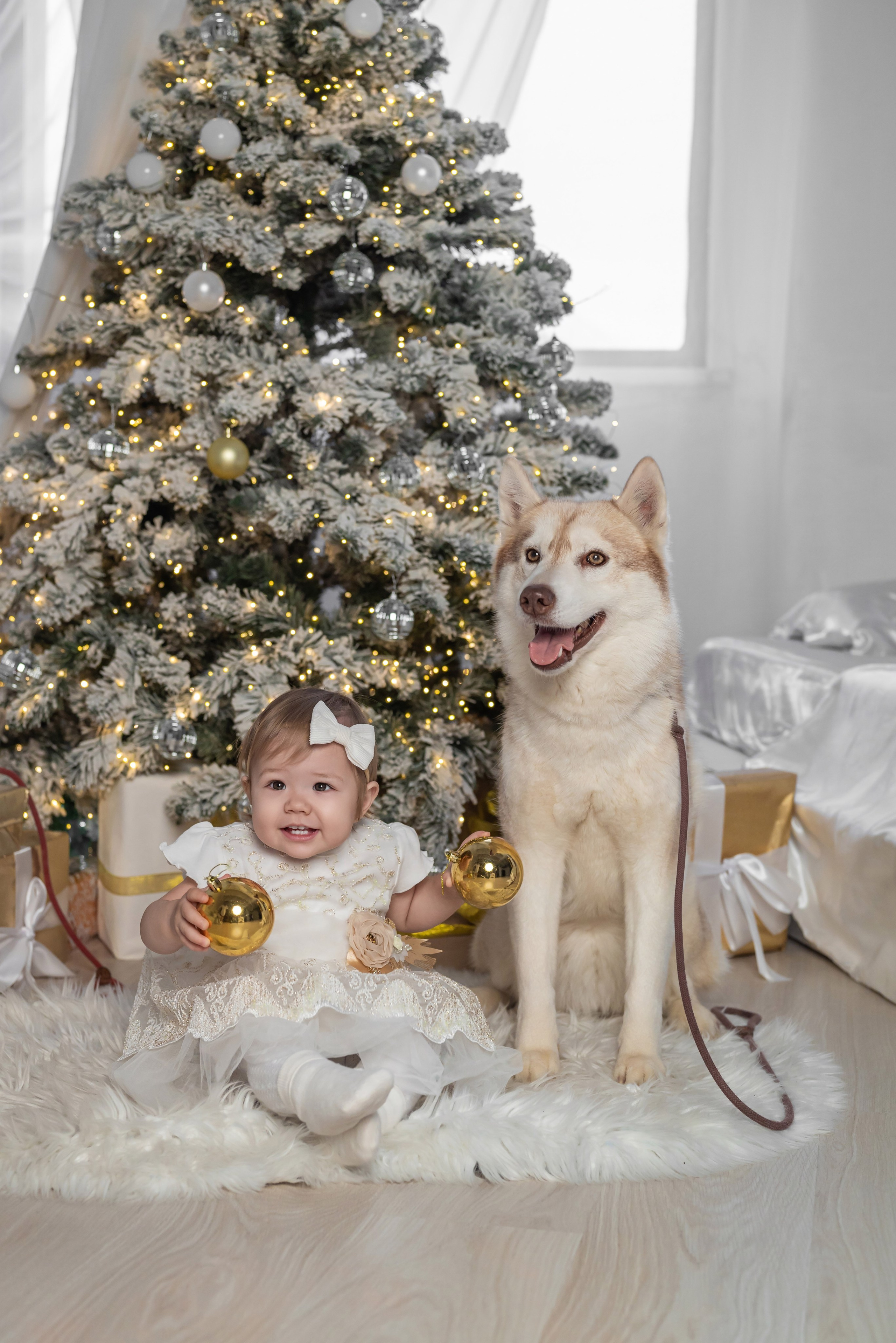 Фотопроект с хаски. Фотограф в городе Салават
