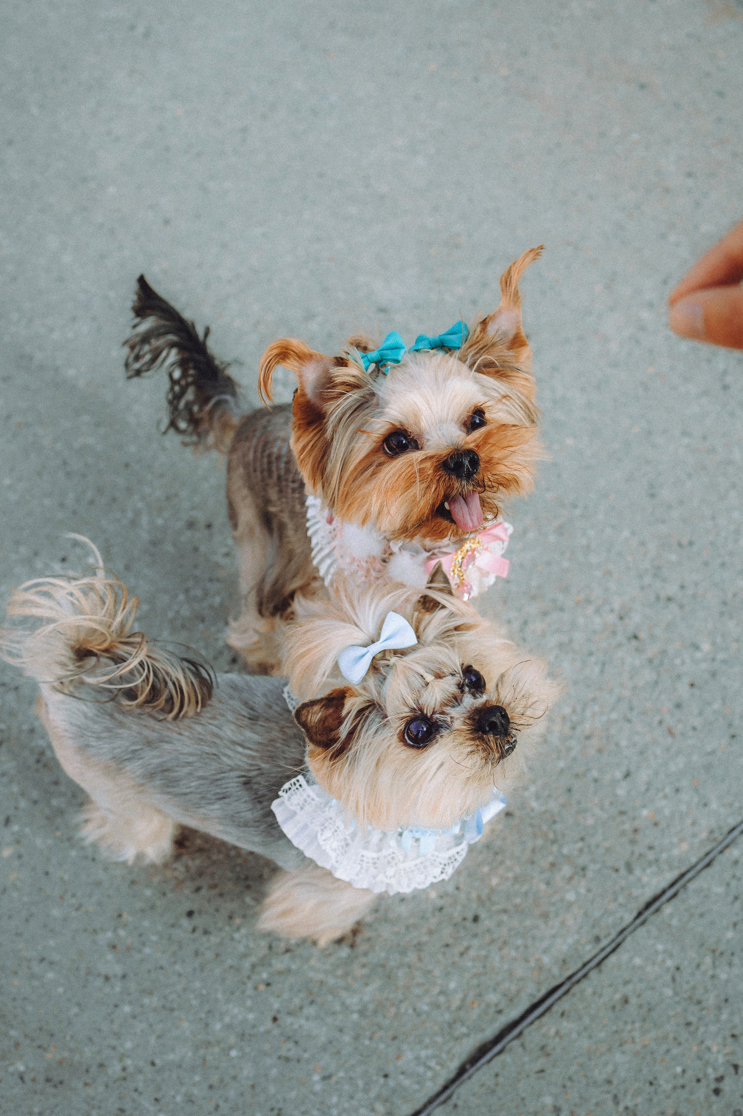 Дженни, Оливия и их семья