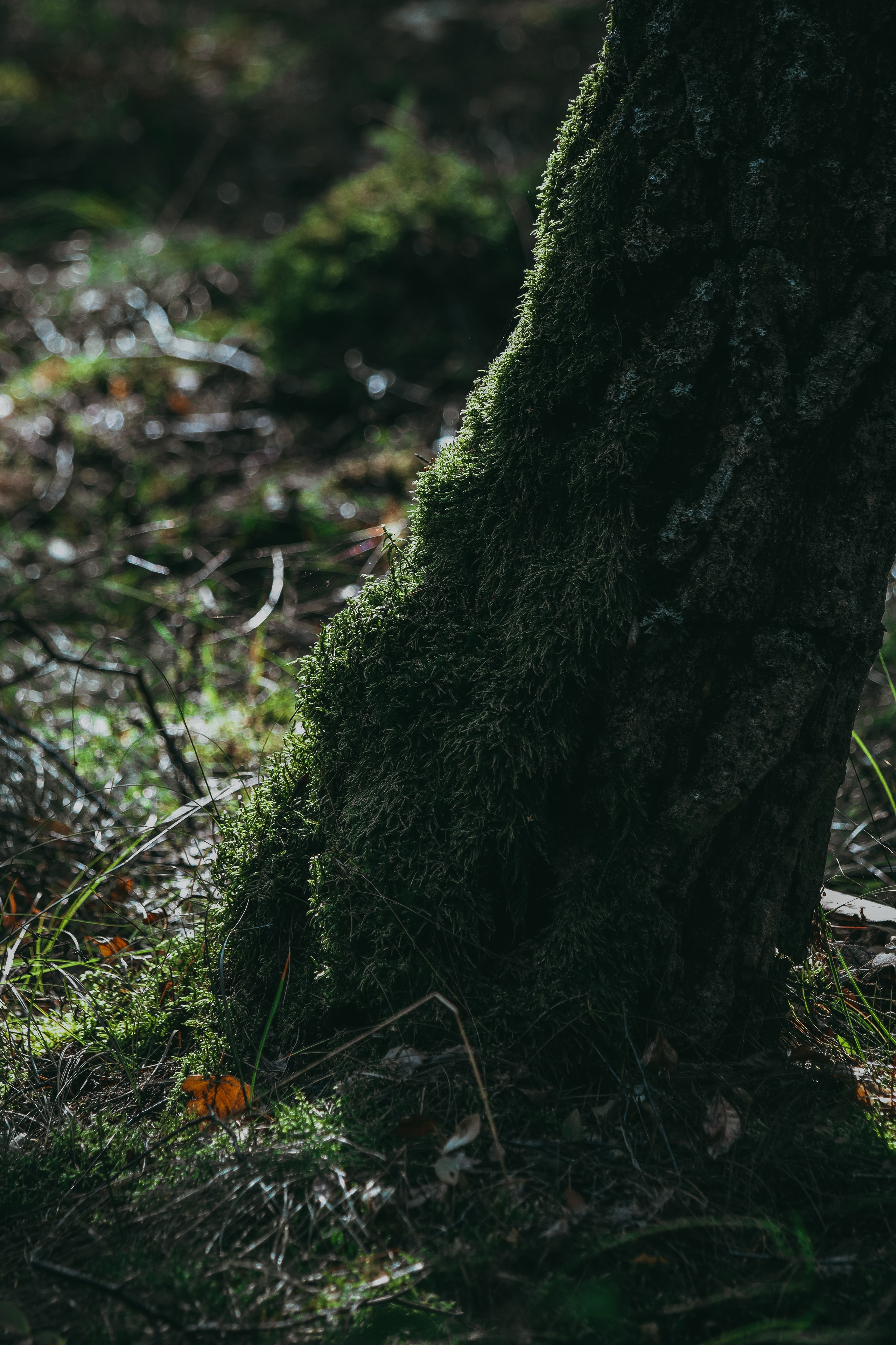 Т Е П Л Ы Й — З Е Л Е Н Ы Й. — Digital Noise —