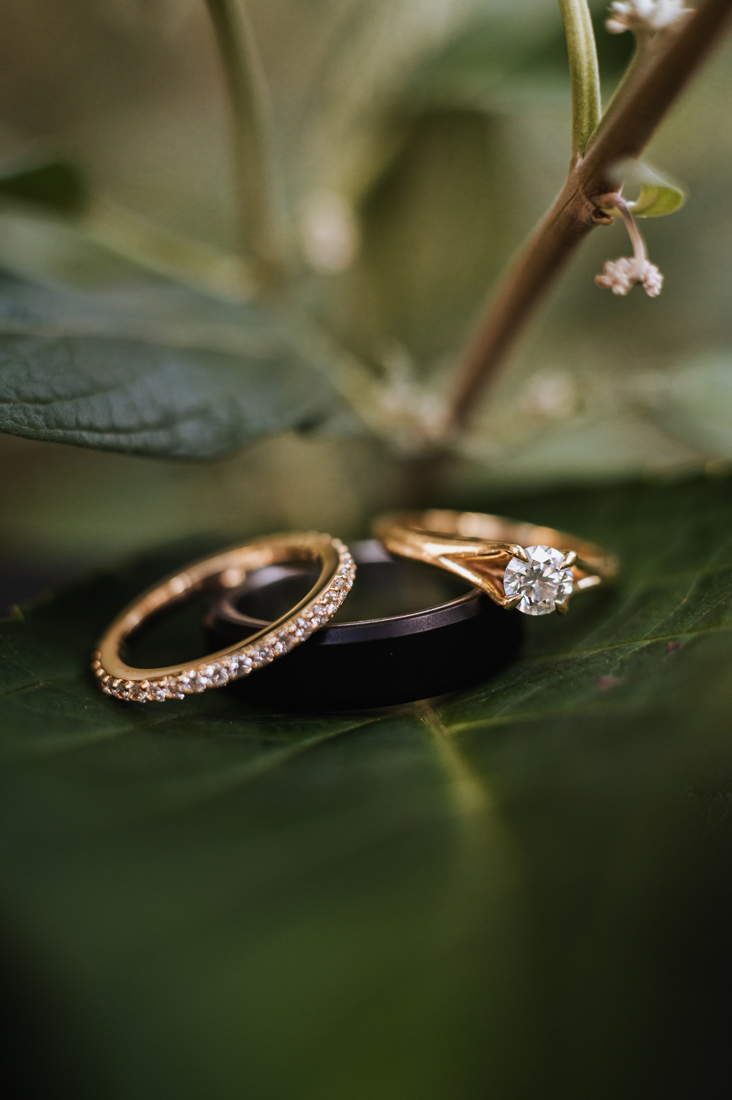 …Whimsical love. Golden Moments Editing — We do Wedding’s Retouch and Video Editing