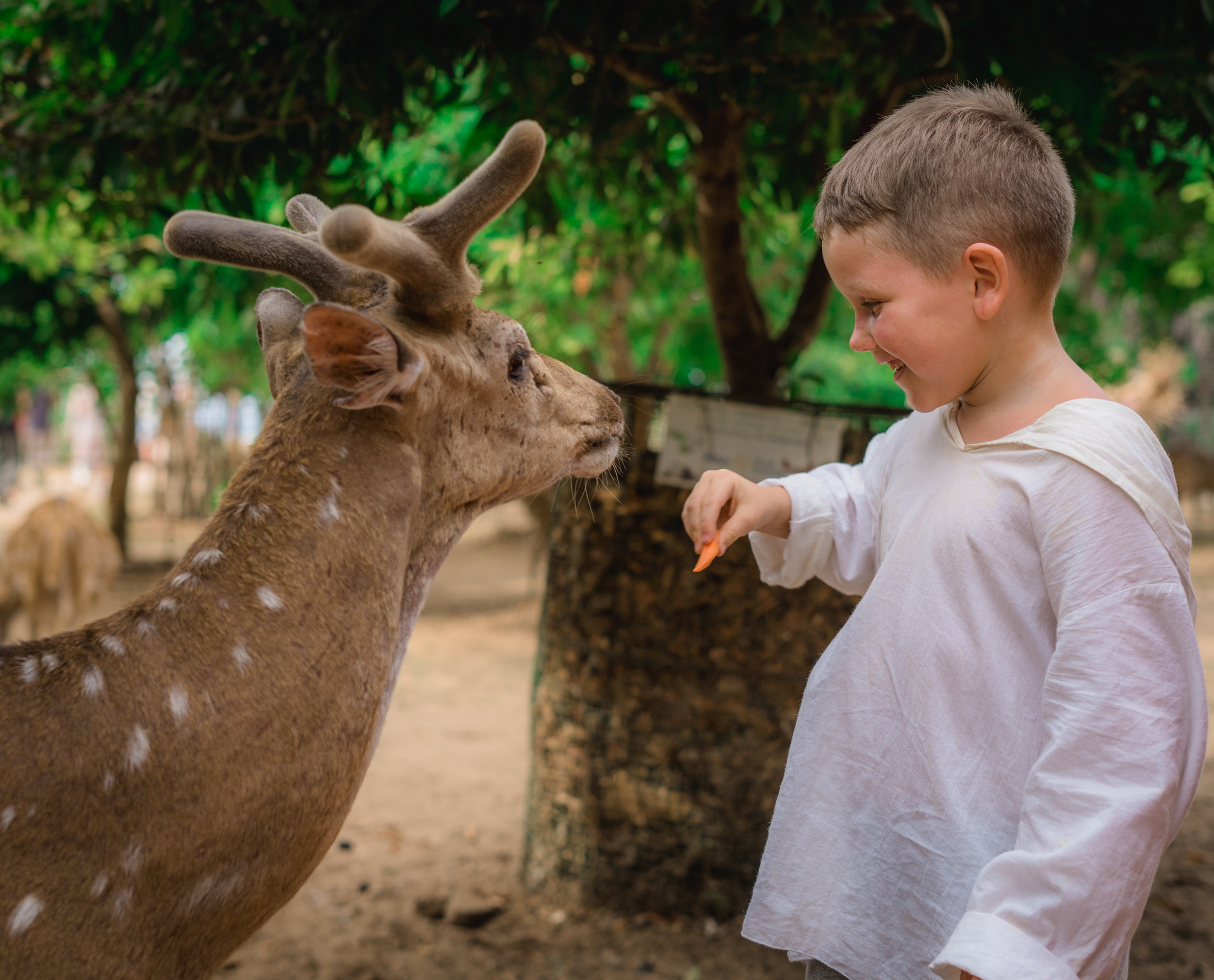 Family. Лавстори и семейный фотограф в Санкт-Петербурге Соболев Максим