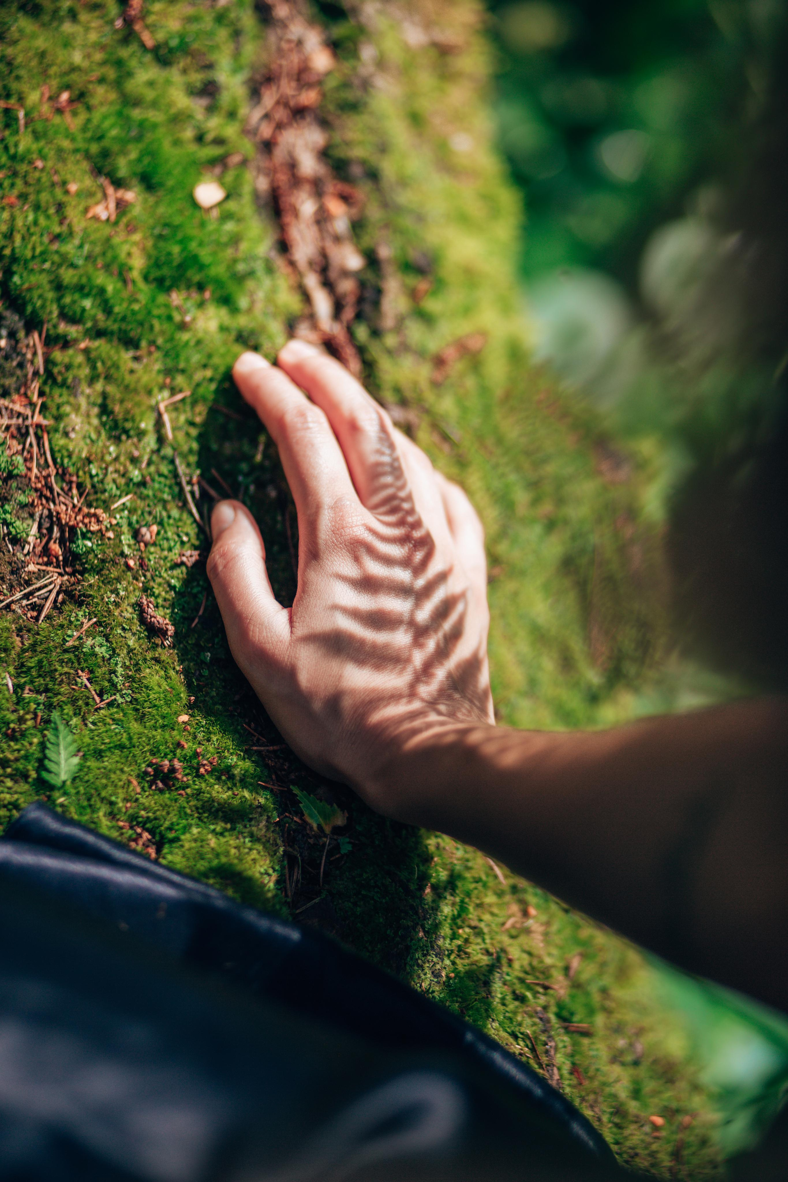 Виктория. Свадебный и Семейный фотограф в Москве Александра Вайпер