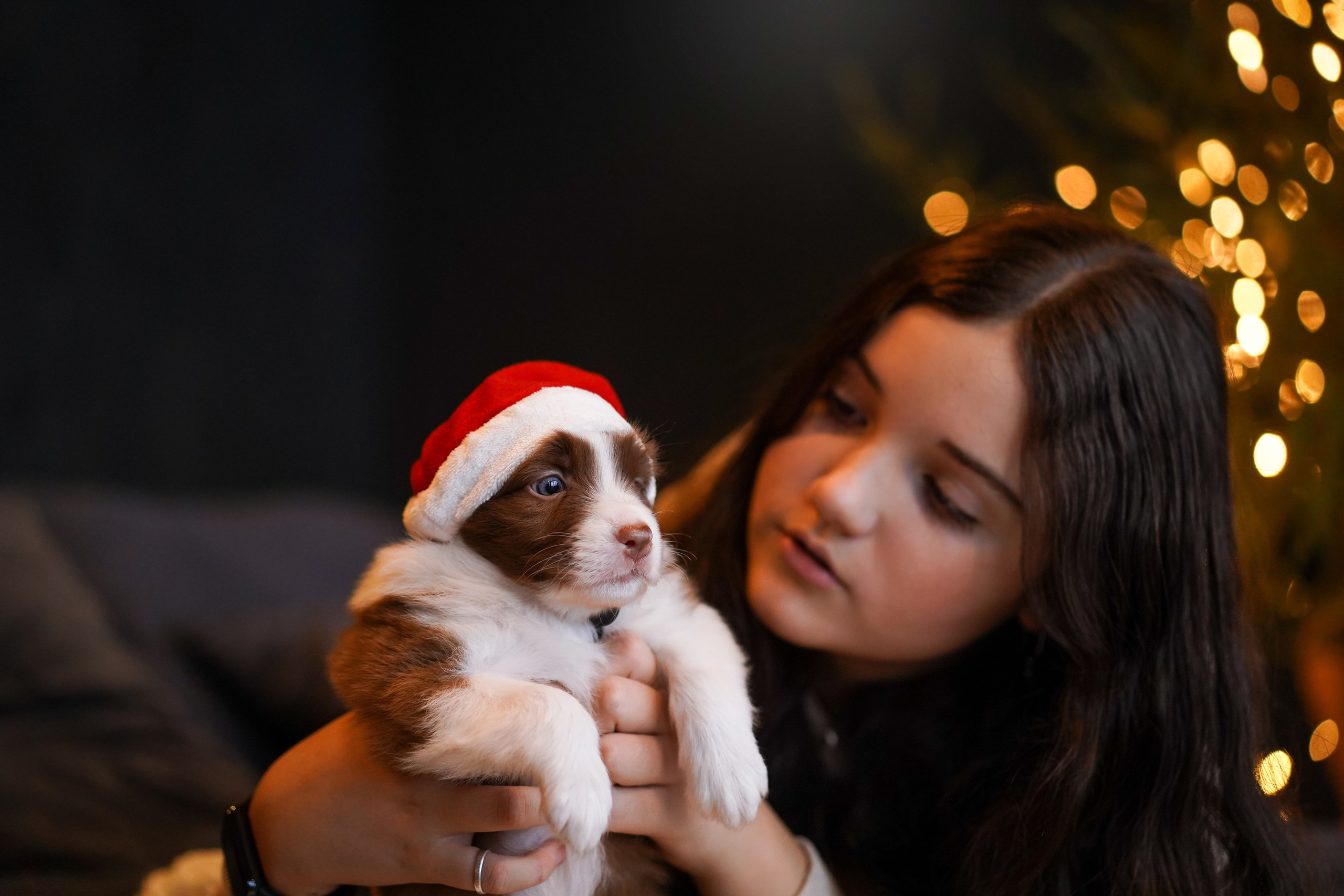 Съемка щеночков в студии. Фотограф-анималист в Санкт-Петербурге Яна Мартынова