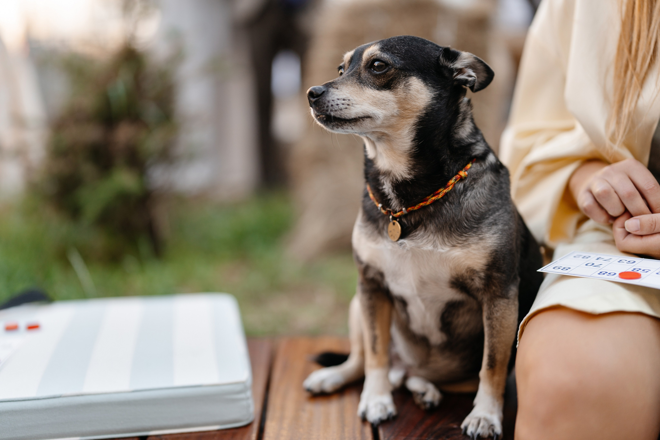 ГастроБистро Цирк. Свадебный и репортажный фотограф в Москве Андрей Вайман