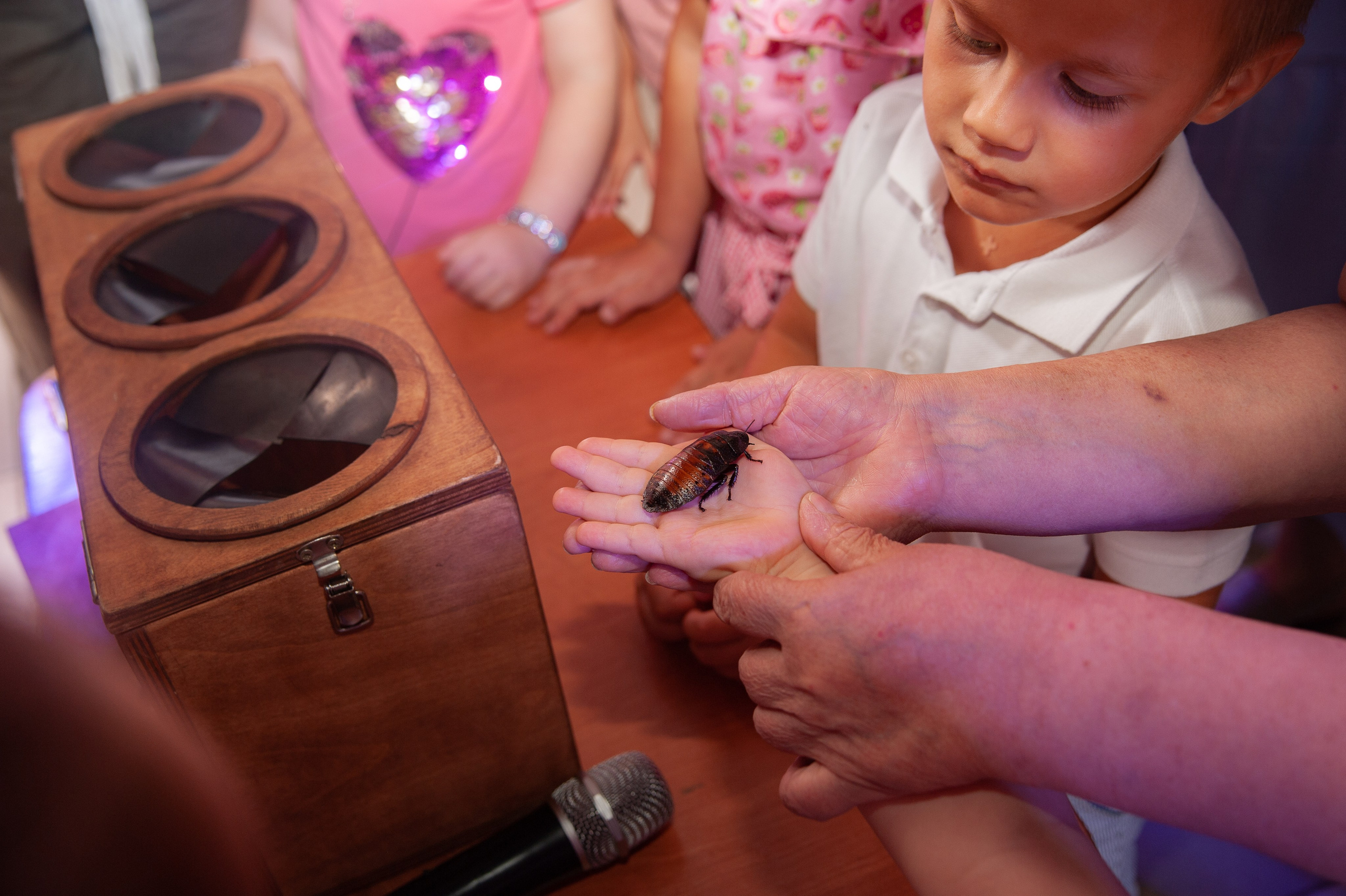 Детские дни рождения. Семейный фотограф Анна Лищук г. Таганрог