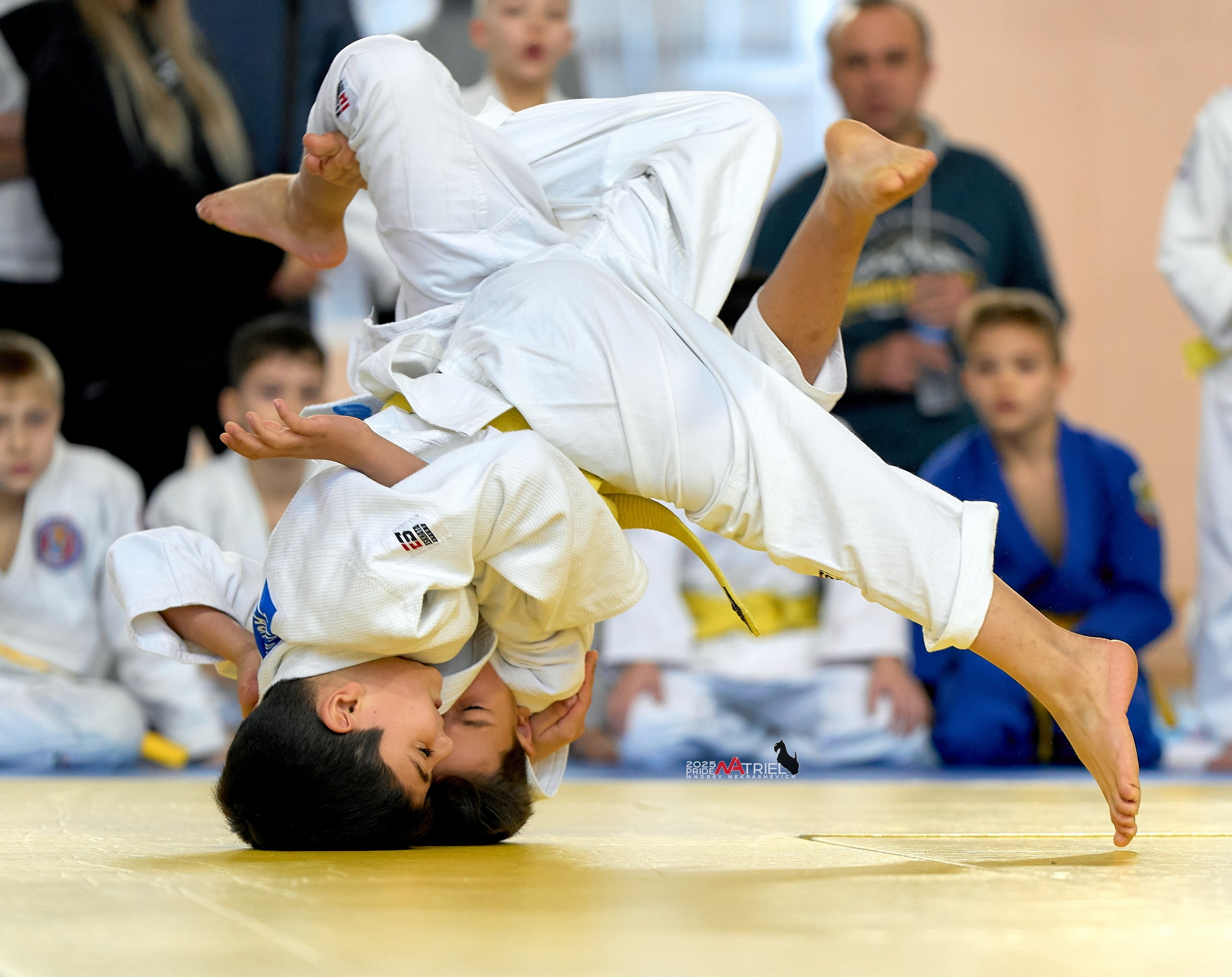 Репортаж с соревнований по дзюдо