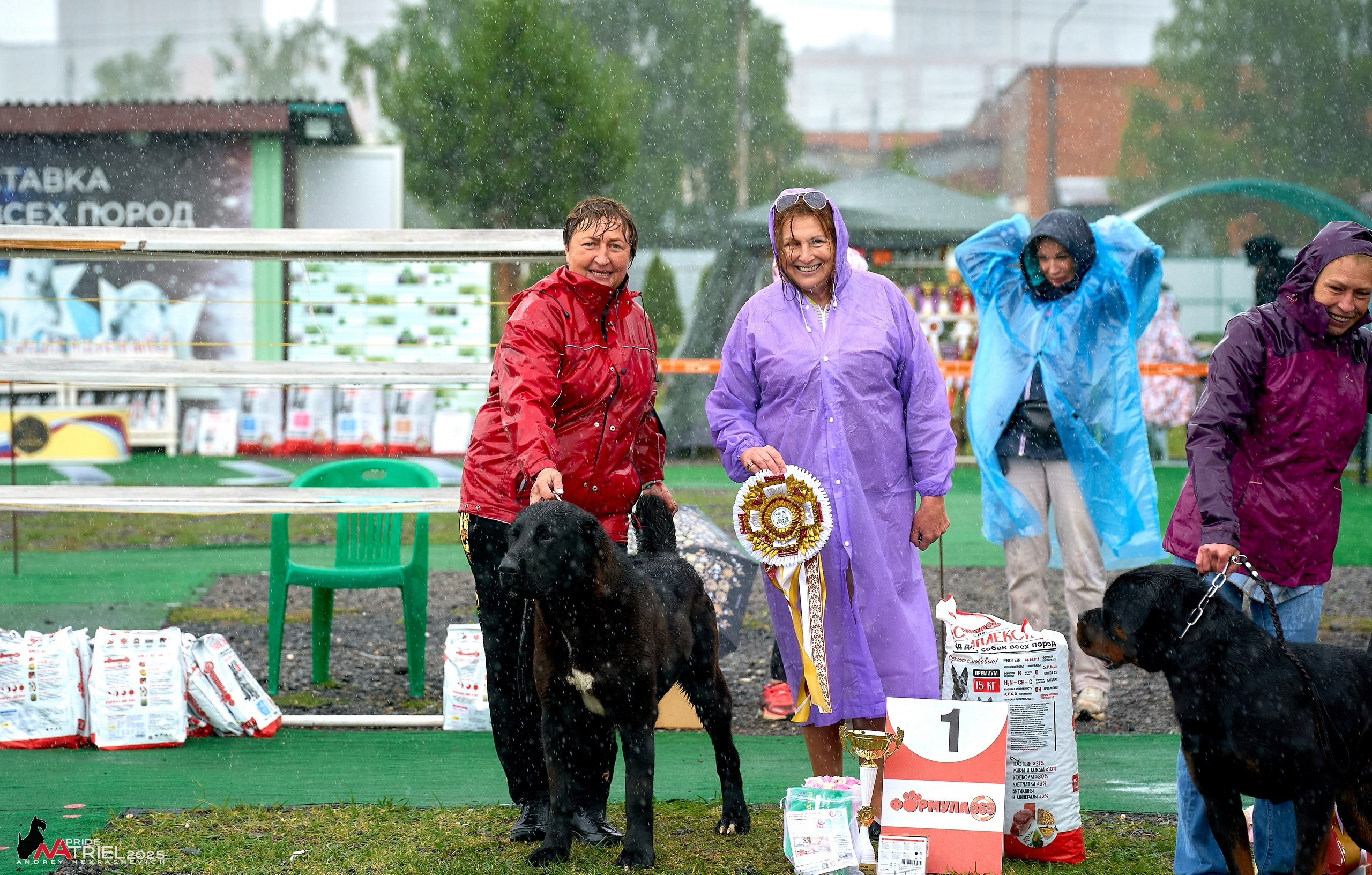 Репортаж с выставки собак