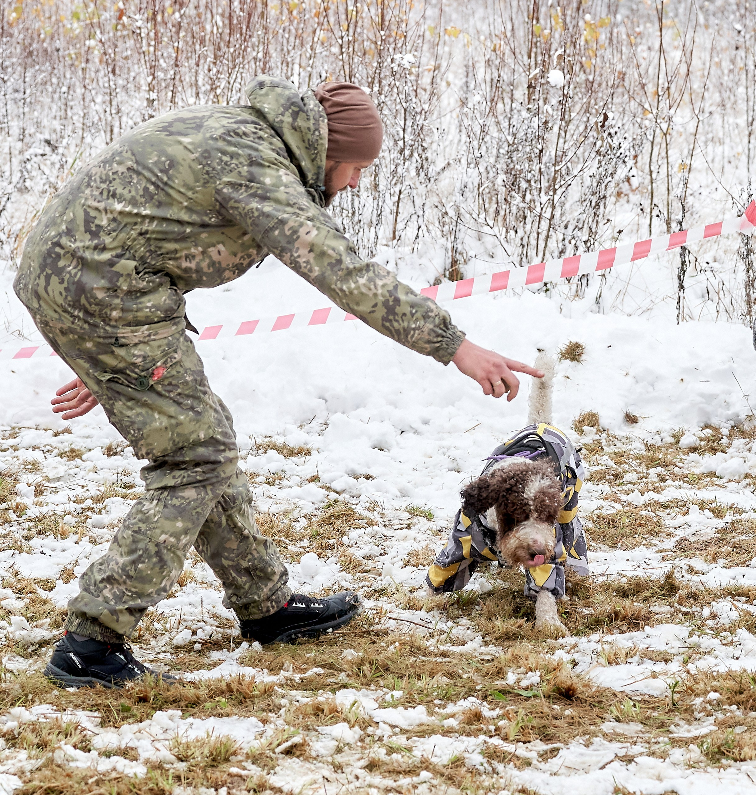 Мероприятия с собаками — галерея NATRIEL