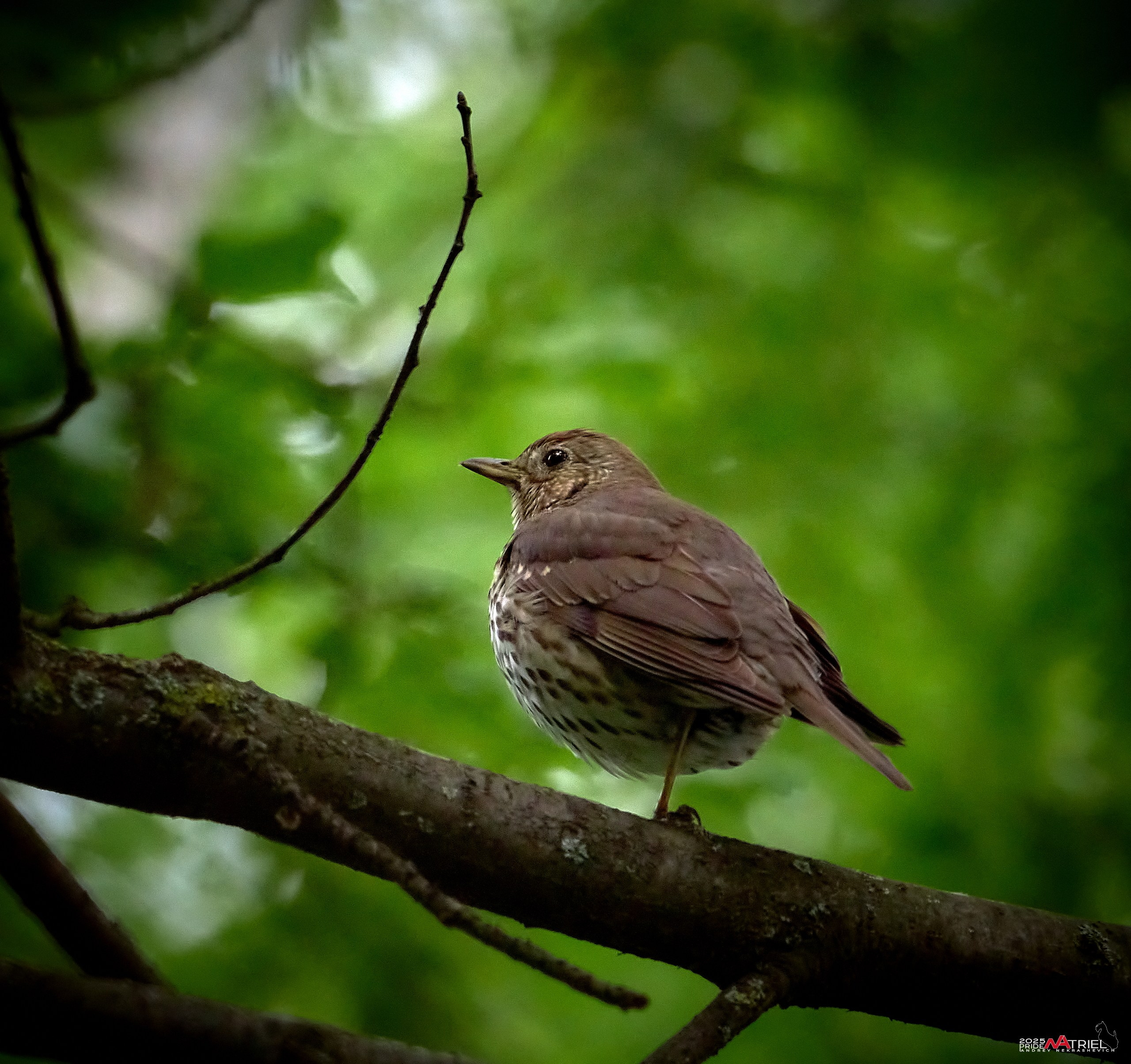 Съемка в парке на воде